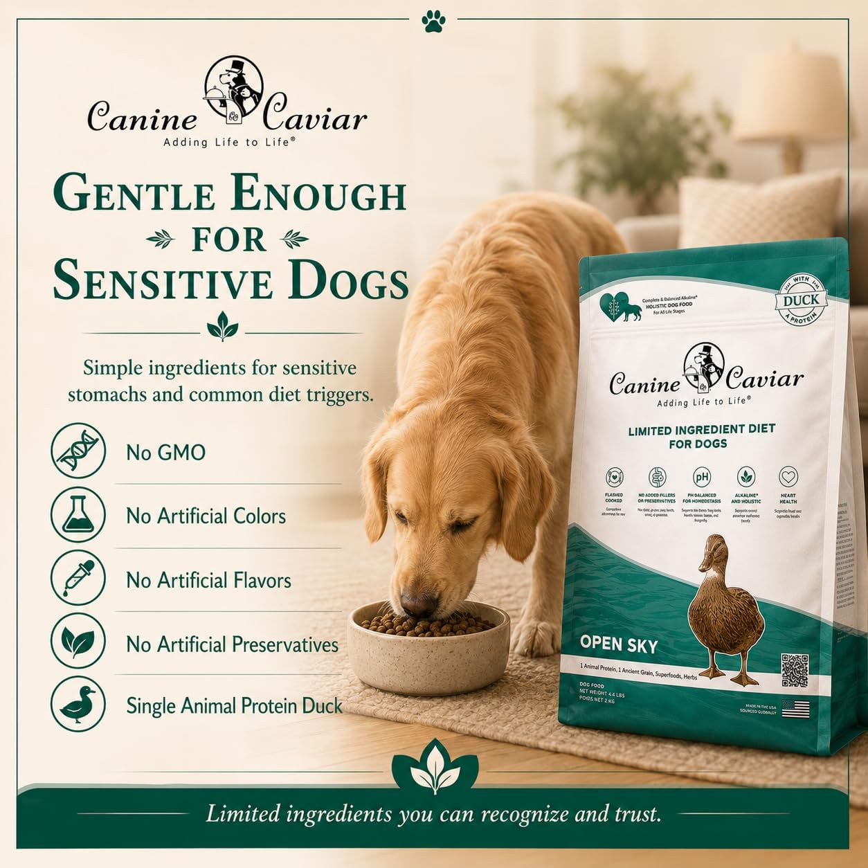 Canine Caviar - Open Range: Water Buffalo & Chickpea Alkaline Dry Dog Food, Limited Ingredients, Gluten-Free, Based on Science & Research, Veterinary Alternative Diet (22 Pound Bag)