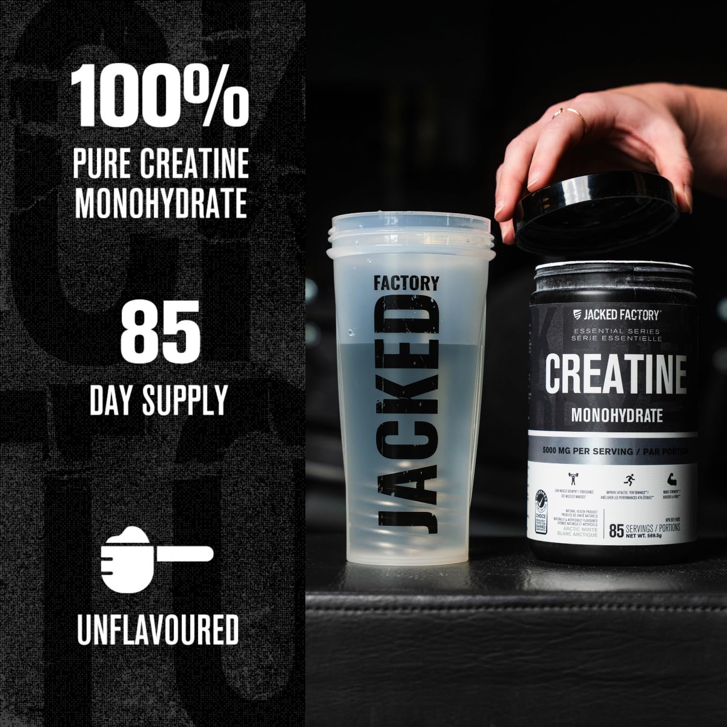 Jacked Factory Creatine Monohydrate Powder 425g - 5g Daily Micronized Creatine Monohydrate for Men and Women, Vegan-Friendly