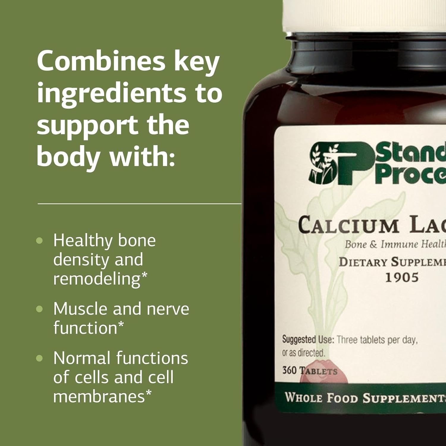 Standard Process - Calcium Lactate Powder - Bone Health & Immune Support - Calcium Magnesium Supplement for Bone Strength & Blood Health - Non-Dairy, Soy & Gluten-Free - 12 oz