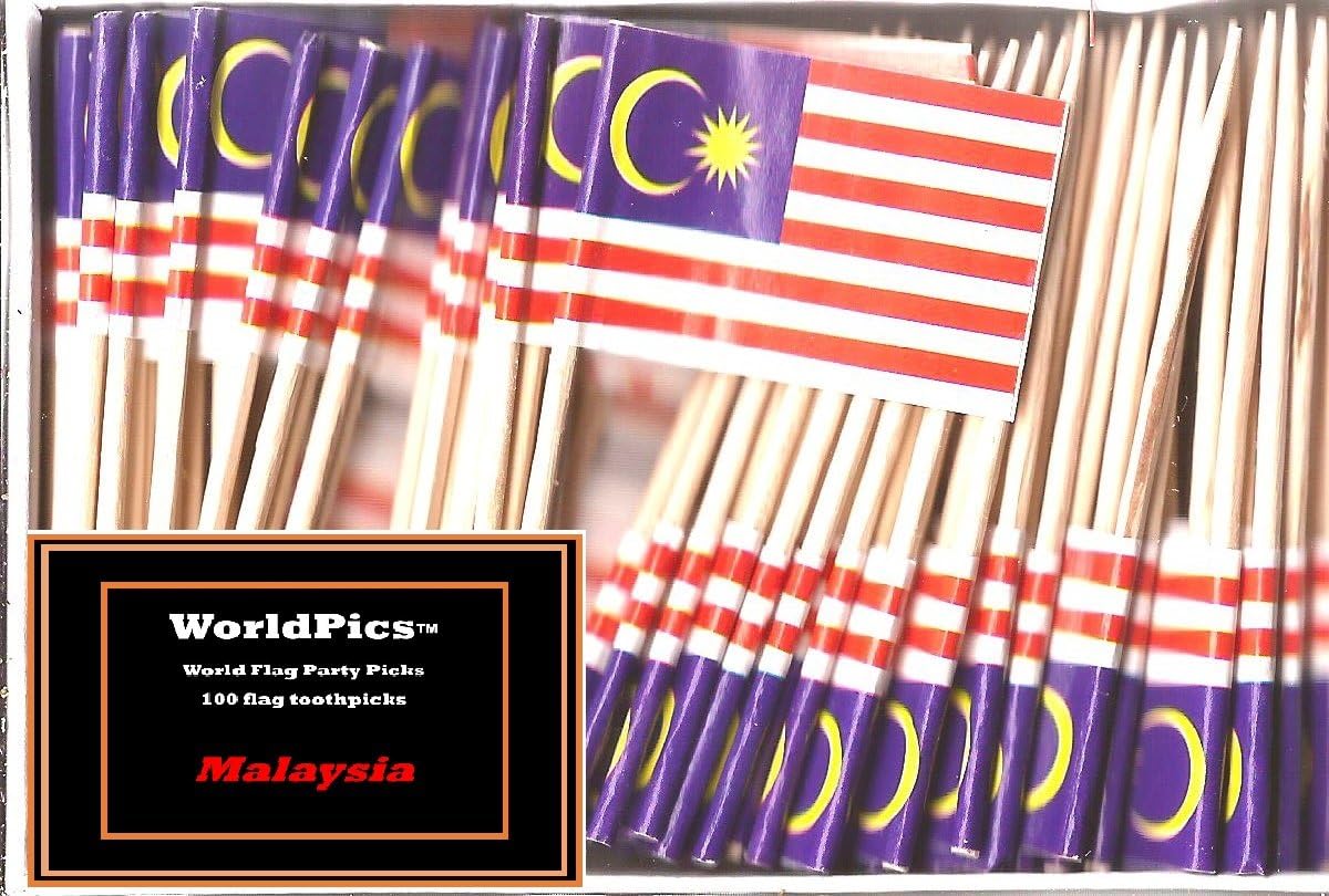 One Box of 100 Nicaragua Toothpick Flags, 100 Small Mini International Flag Cupcake Toothpicks or Cocktail Picks
