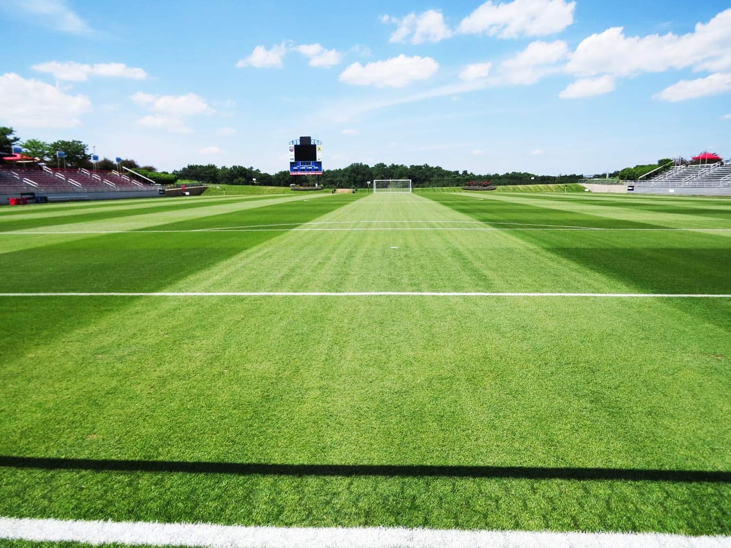 Barenbrug Turf Blue Healthy Grass Technology Grass Seed with Yellow Jacket Coating - Heavy Traffic Seed for Use on Sports Fields, Golf Courses, Parks