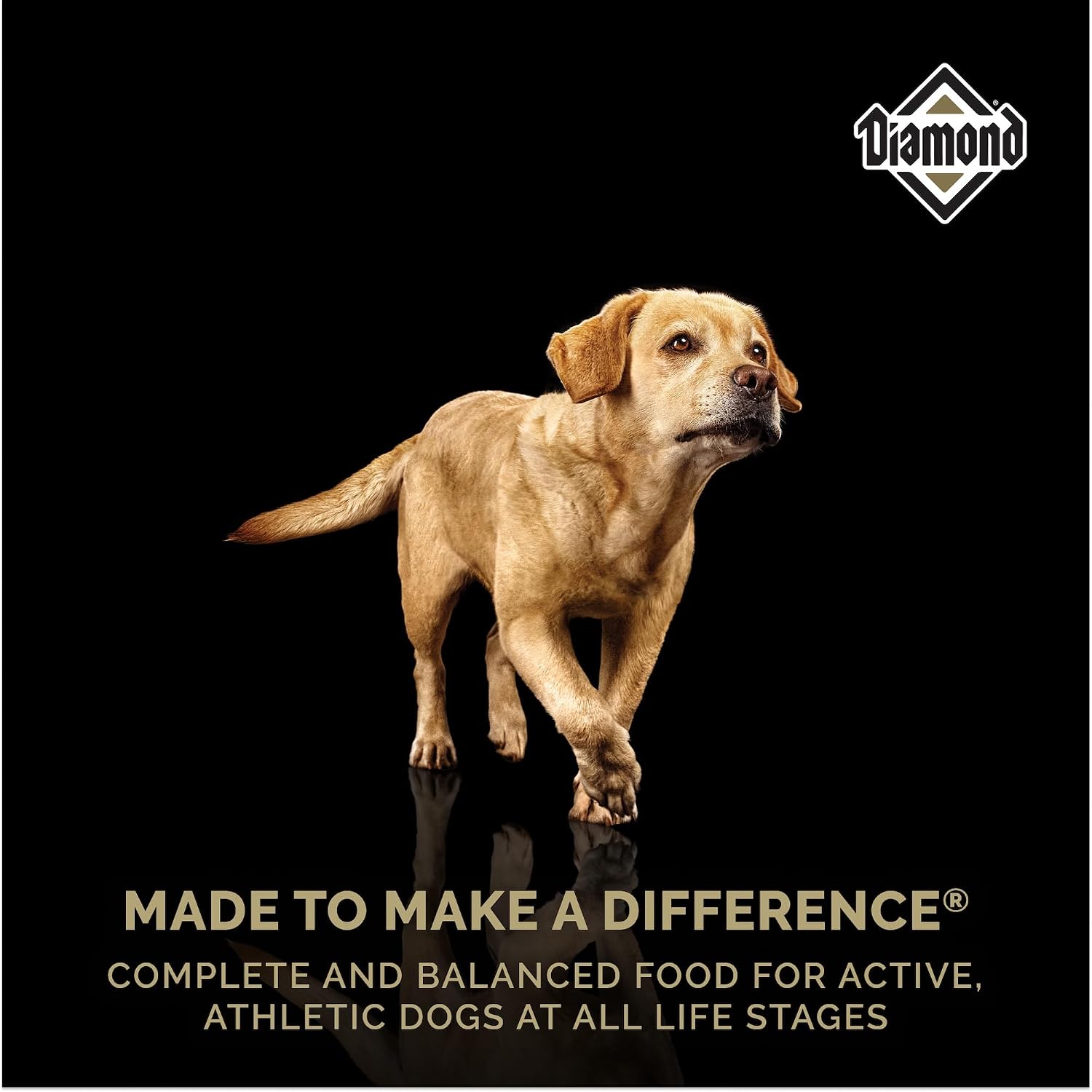 Diamond Maintenance Adult Dry Dog Food, Chicken Protein, 40lb | For Moderately Active Dogs | Omega Fatty Acids Help Support Healthy Skin & Shiny Coat | Guaranteed Probiotics