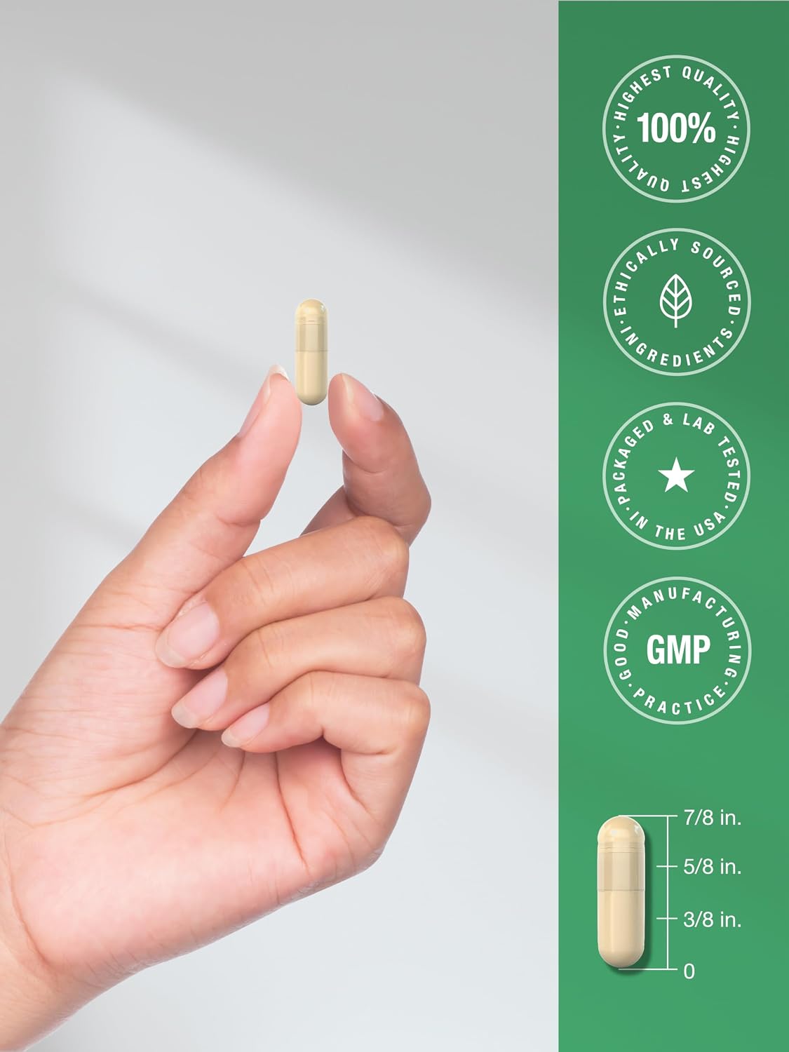 Horbäach Ceylon Cinnamon Supplement | 150 Capsules | Herbal Extract Pills | Non-GMO & Gluten Free