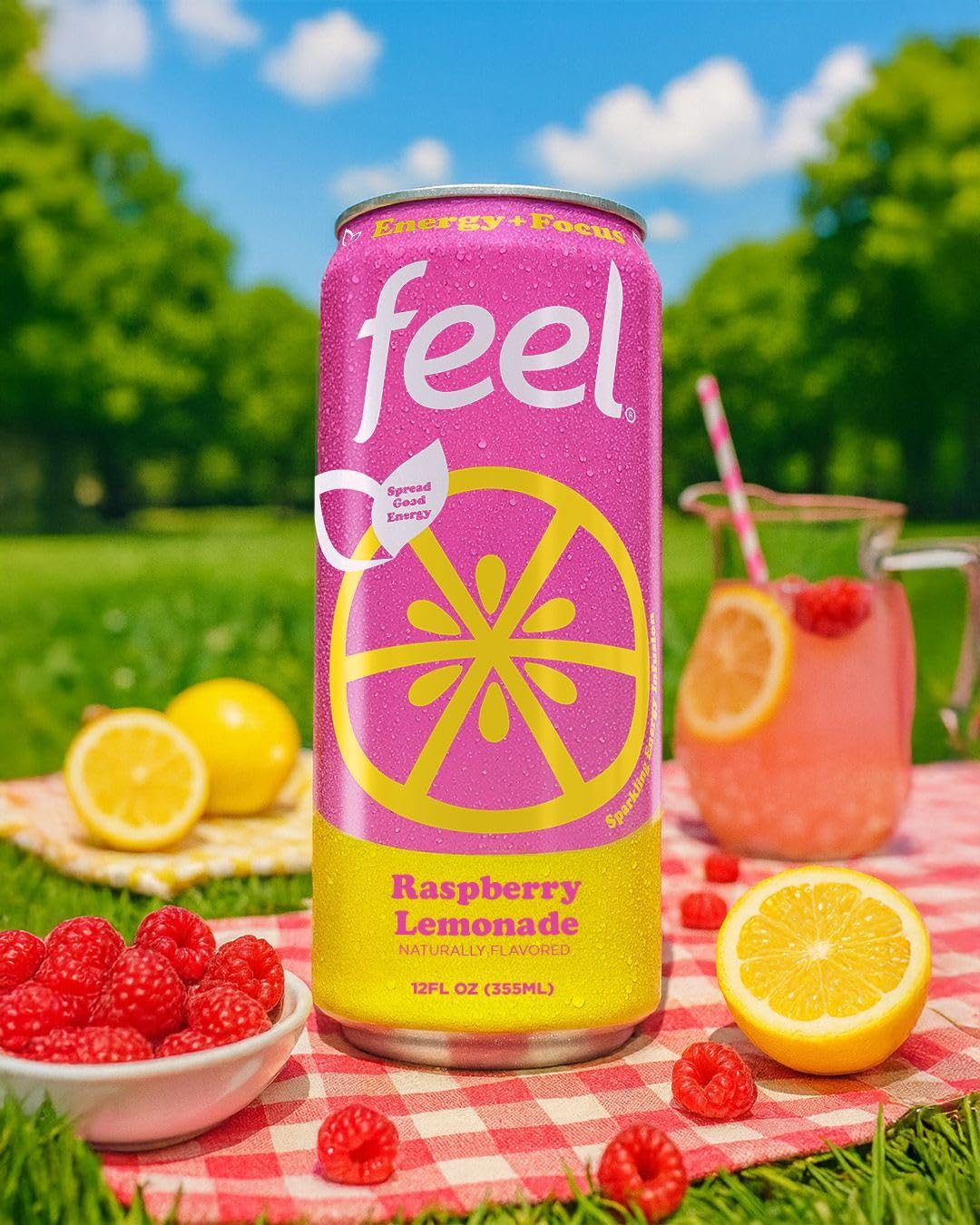 FEEL Variety Pack – Zero Sugar Sparkling Energy Drink – 3 Flavor Assortment, 140mg Plant-Based Caffeine from Green Coffee Beans + L-Theanine – Vitamin C, Vegan, Non-GMO – 12 Pack (12 Fl Oz Cans)