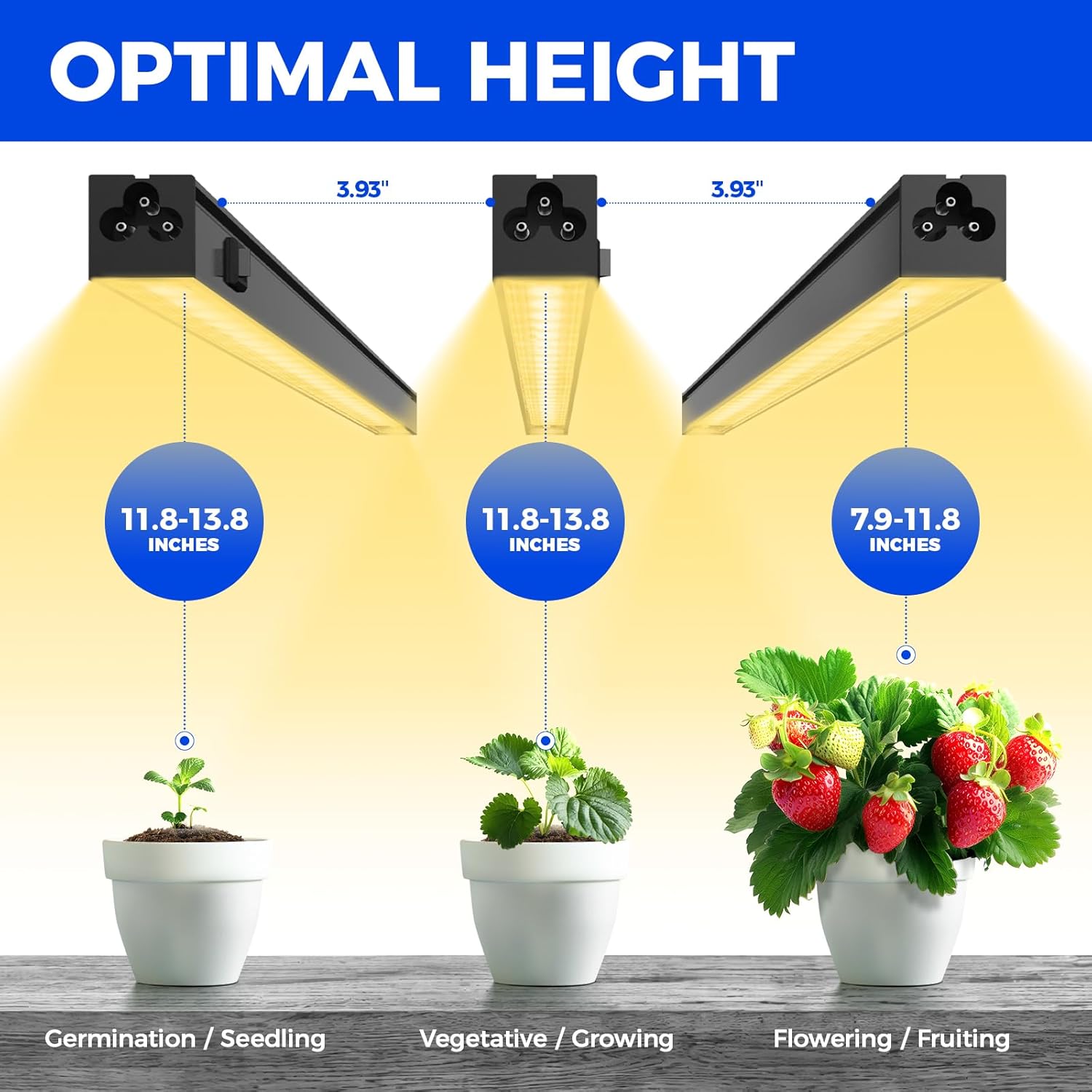 Barrina T5 Grow Lights for Indoor Plants, Full Spectrum, 2FT, 8 Packs