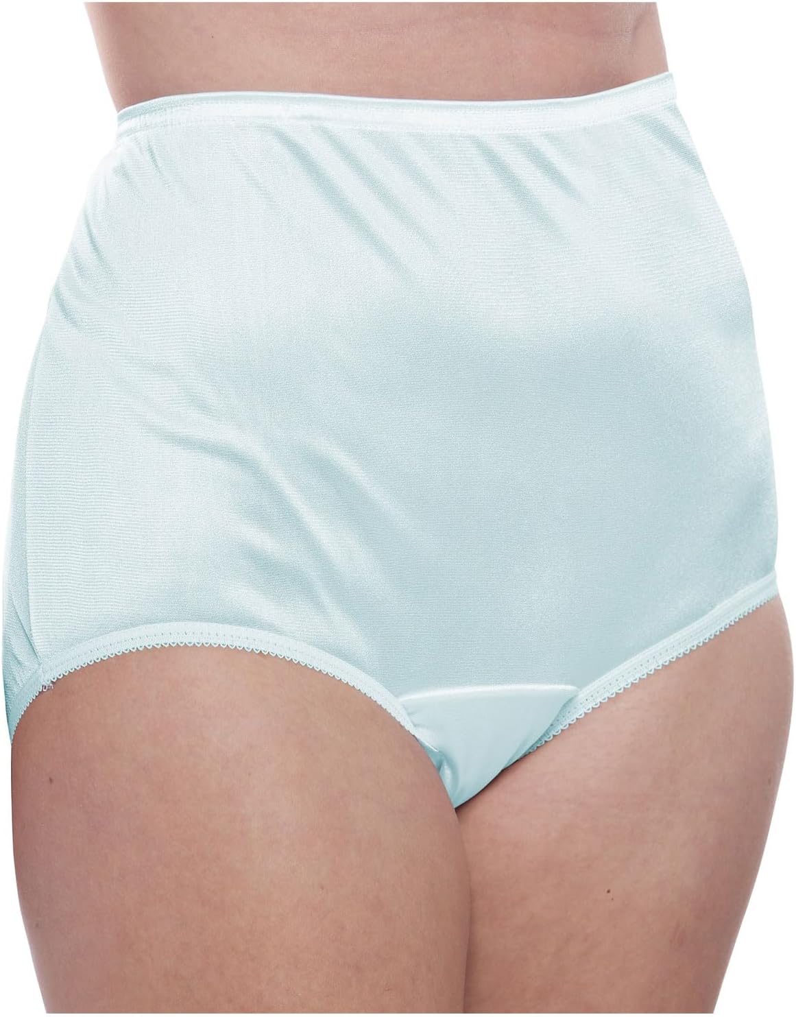 Teri Women's 331 Plain Jane Classic Nylon Silky-Smooth Lightweight Breathable Full Coverage Brief Panty - 4 Pack