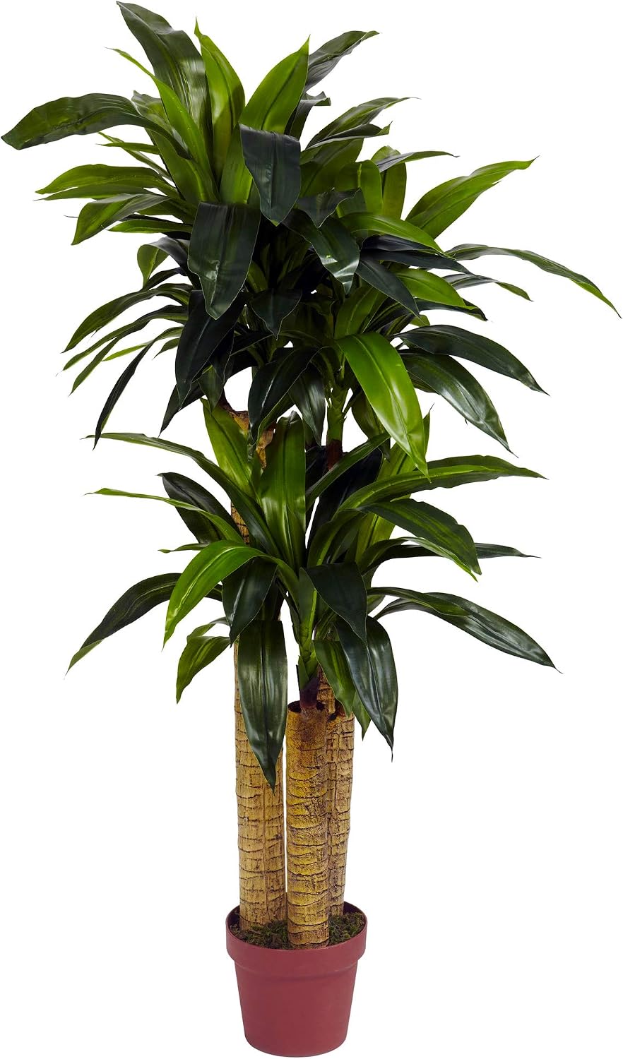 Nearly Natural 35in. Sansevieria with Black Planter and 4ft. Corn Stalk Dracaena Silk Plant (Real Touch), Green