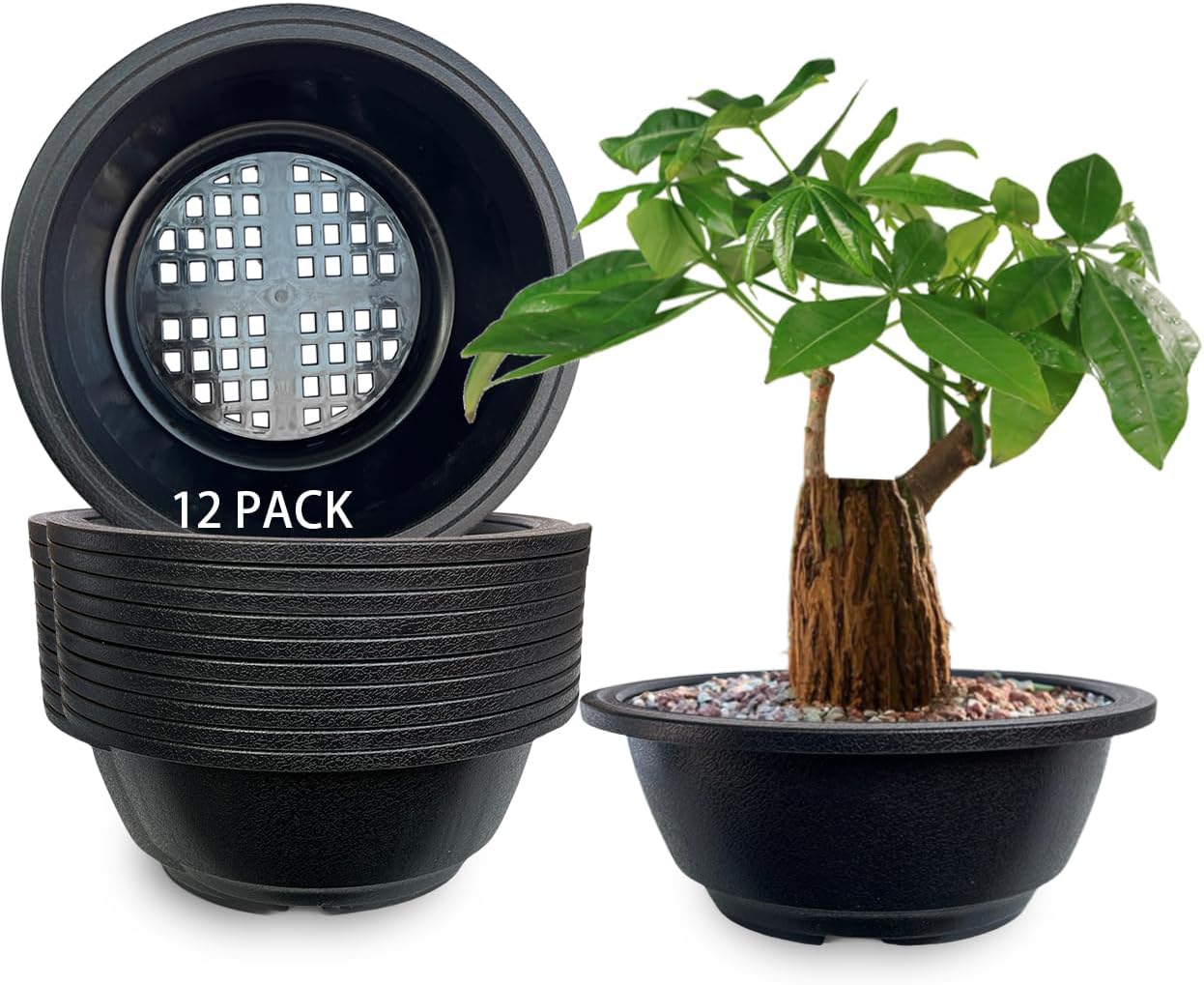 MUZHI 12PACK Matte Black Succulent Bonsai Round Planter Bowl Pot with Drainage, Plastic Cactus Flat Garden Plant Bowl Pots 6.3”