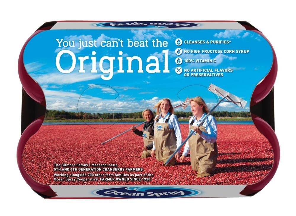 Ocean Spray® Cran-Raspberry® Cranberry Raspberry Juice Drink, 101.4 Fl Oz Bottle