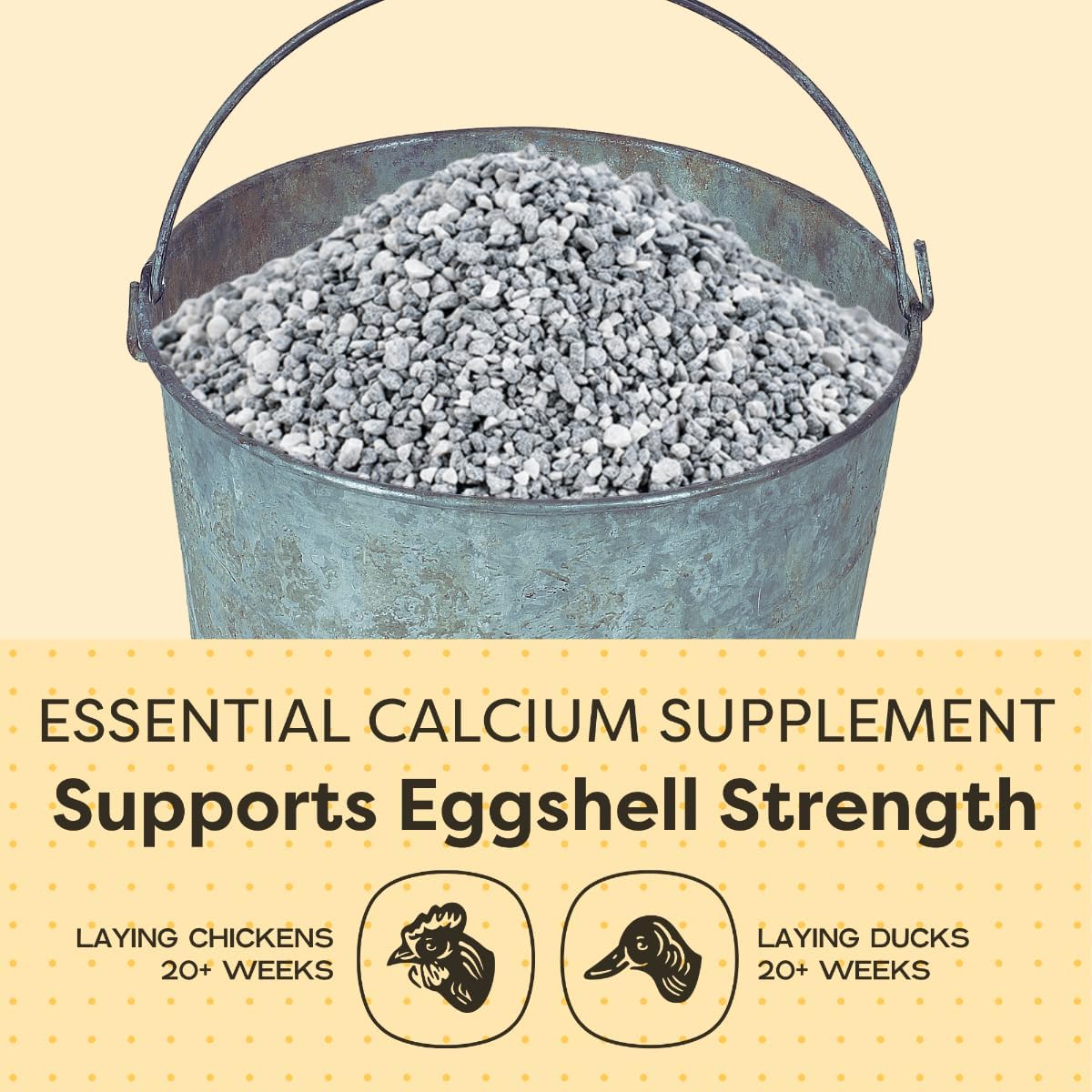Scratch and Peck Feeds | Oyster Shell Chickens & Ducks | 4 lb Pouch | Essential Calcium Supplement for Eggshell Strength and Hen Health, All Natural, Sustainably Sourced