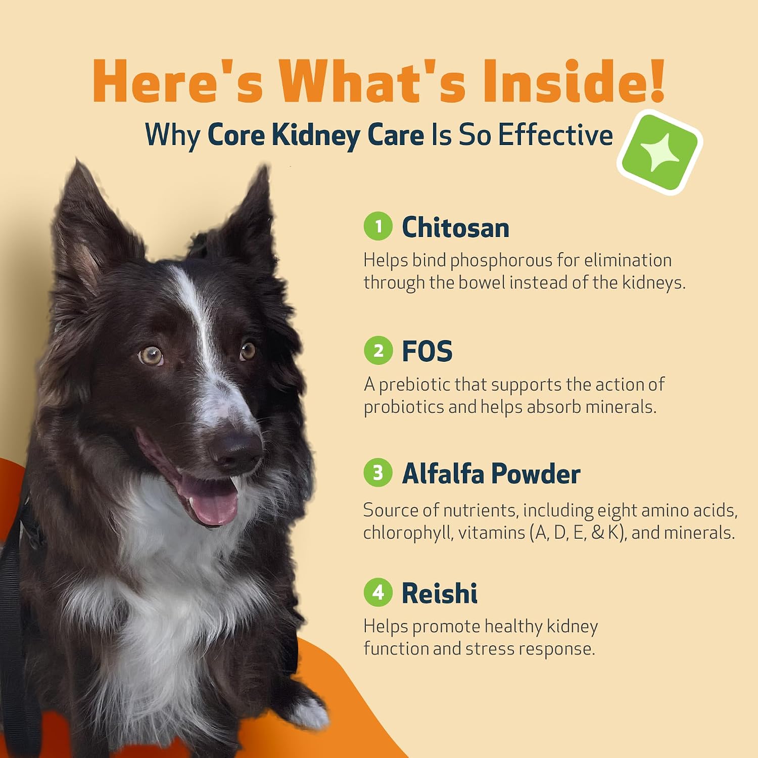 Pet Wellbeing Kidney Support Gold for Dogs - Kidney Care & Hydration, 2 oz