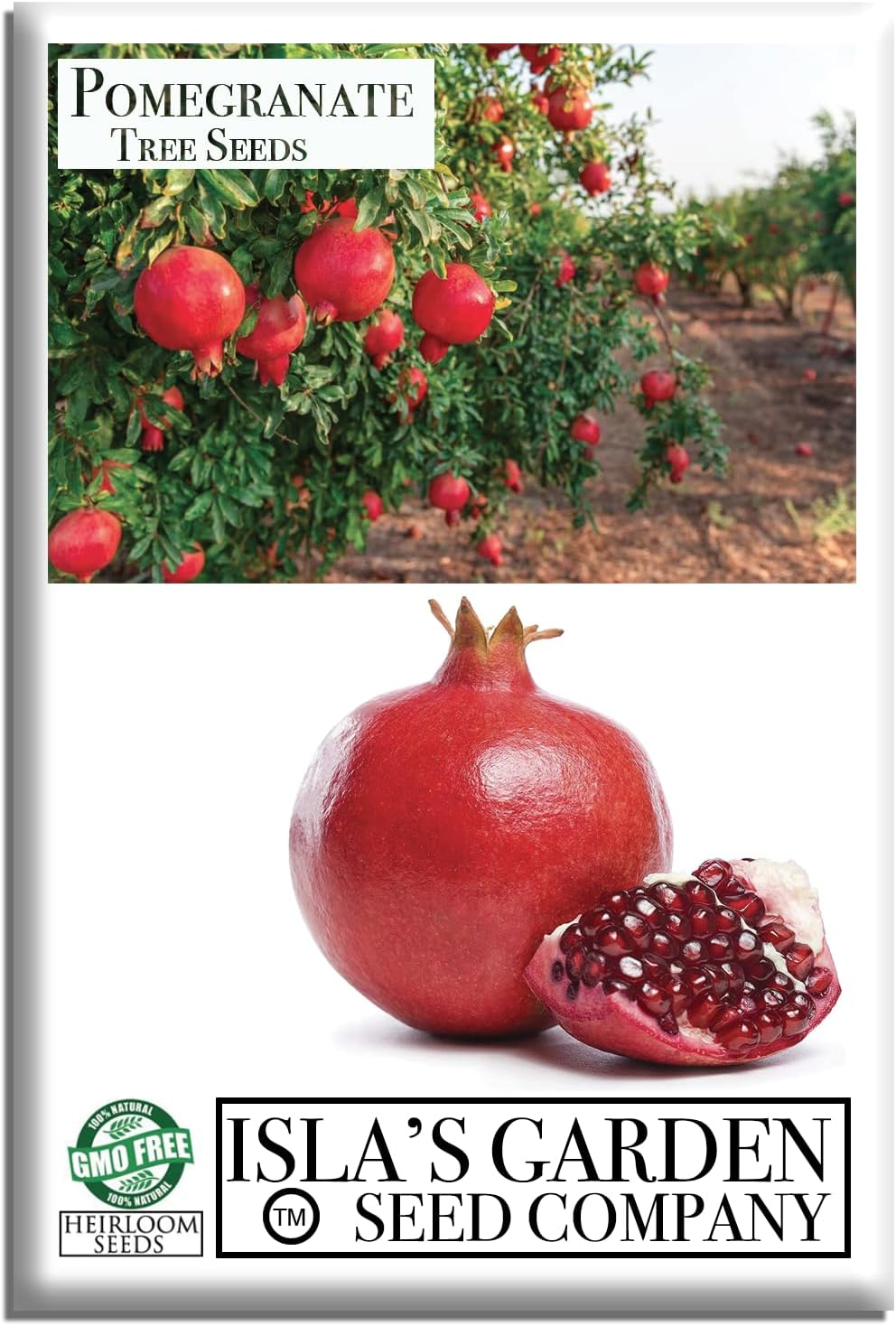 Pomegranate Tree Seeds (Punica granatum) – 30+ Non-GMO Fruit Tree Seeds for Planting, Beautiful Ornamental Tree with Sweet Edible Fruit