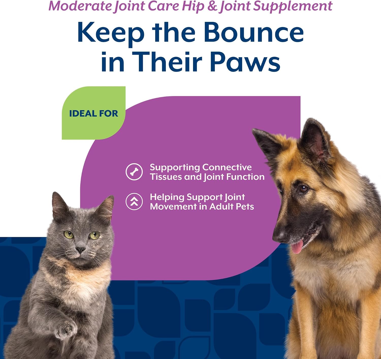NaturVet – Glucosamine DS Plus - Level 2 Moderate Care – Supports Healthy Hip & Joint Function – Enhanced with Glucosamine, MSM & Chondroitin – for Dogs & Cats–70 Soft Chews