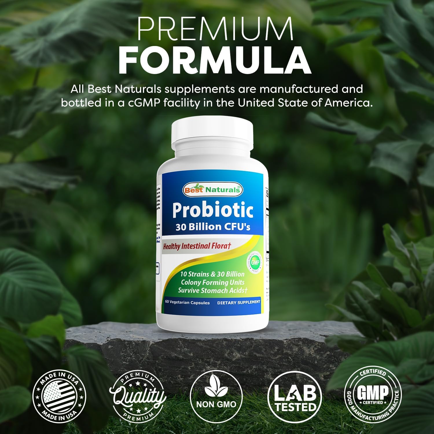 Best Naturals Probiotic 10 Strains & 30 Billion CFU Intestinal Flora, 60 Veggie Capsules (60 Count (Pack of 1))