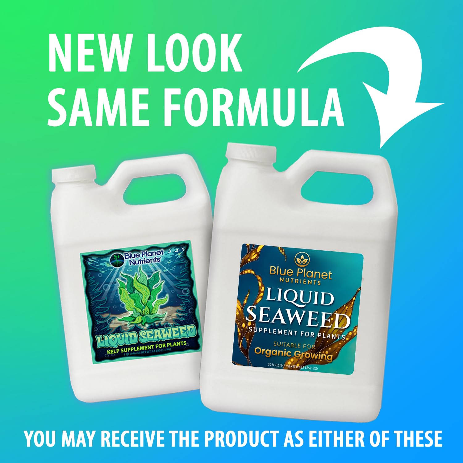 Liquid Kelp Seaweed Fertilizer Concentrate - Blue Planet Nutrients Ascophyllum Nodosum Liquid Seaweed Supplement - Makes 470 Gallons - Quart (32 oz)
