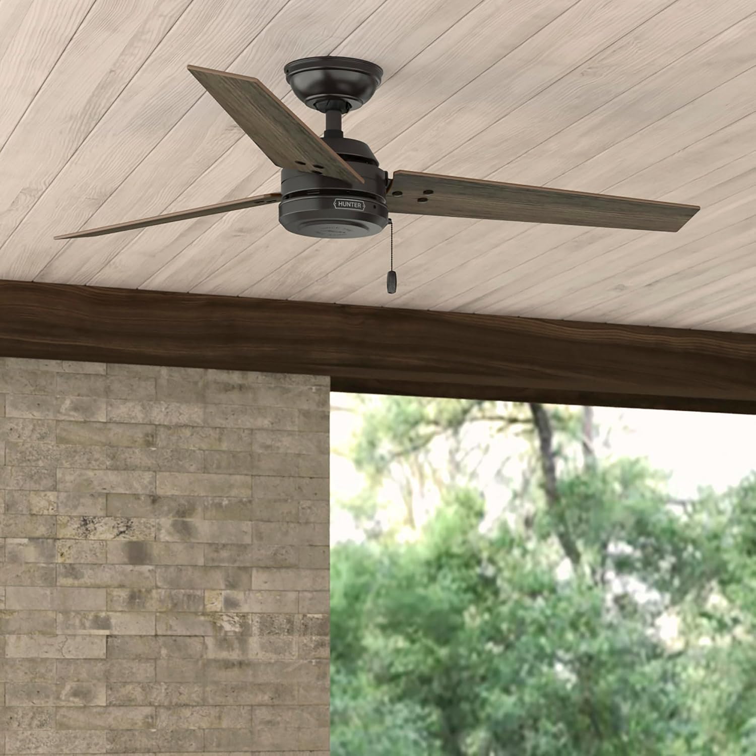 Hunter Cassius, Outdoor or Indoor, Ceiling Fan, 44 inch, Matte Black