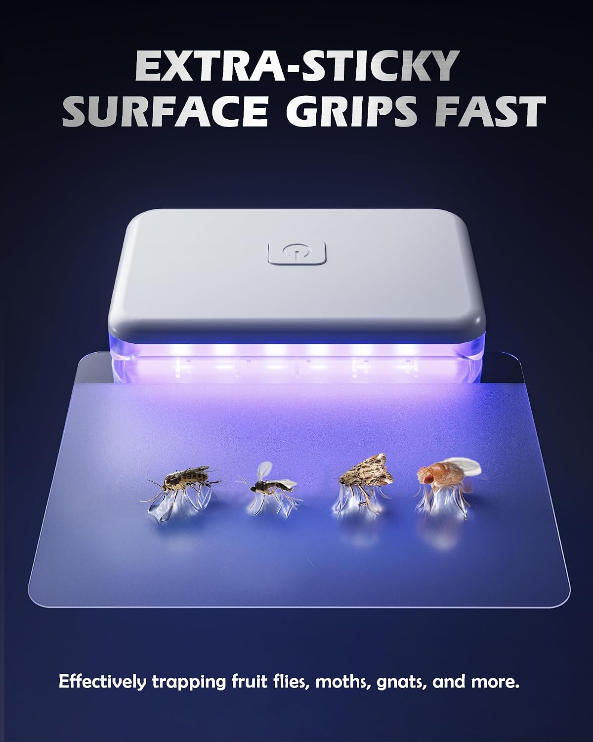 LFSYS 2 Pcs Fruit Fly Traps for Indoors (2 Device+10 Refills) Plug in UV Light Fly Trap for Gnats, Fruit Flies, Flying Insects Sleek Design Indoor Safe