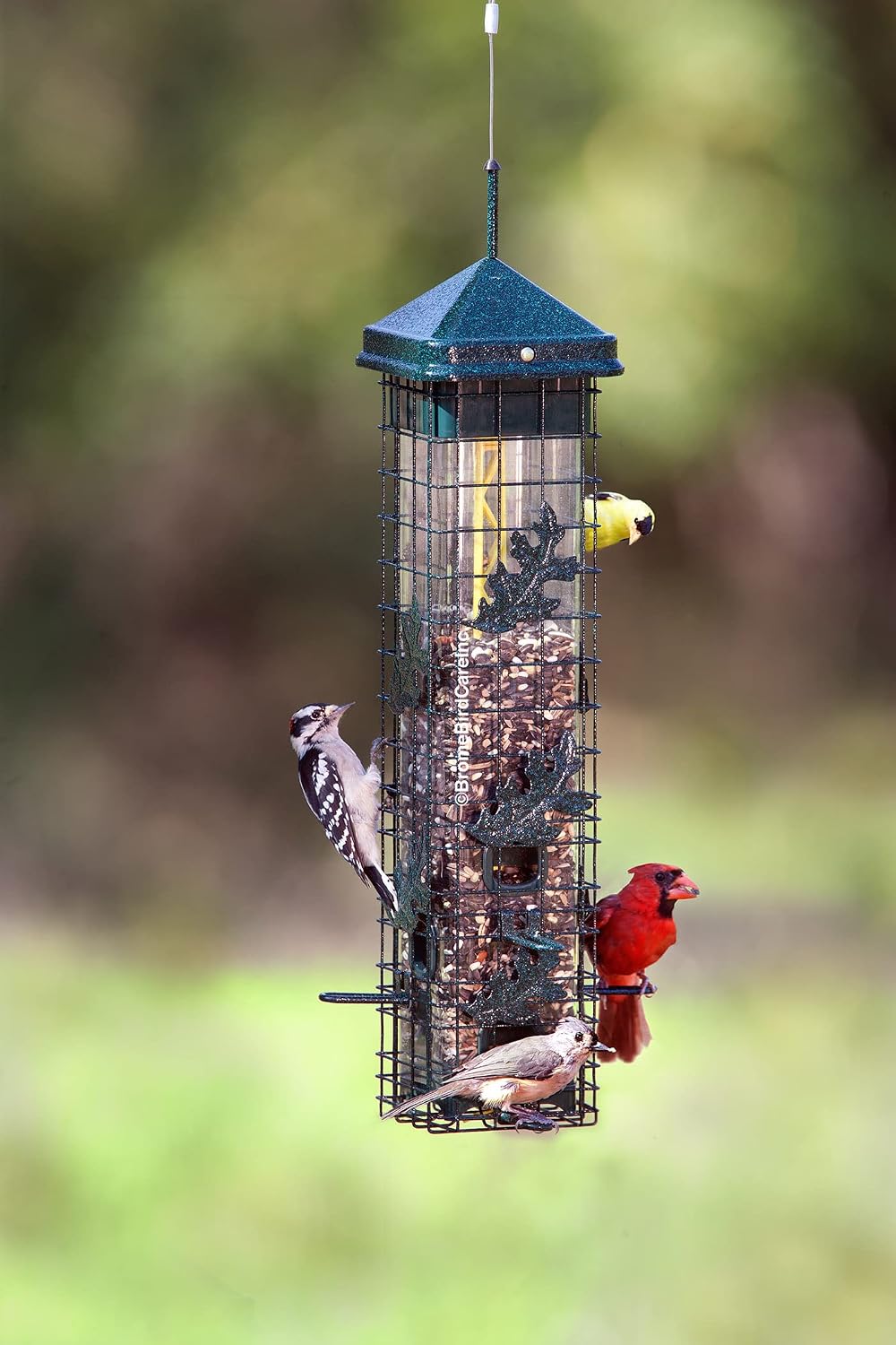 Squirrel Solution200 Squirrel-proof Bird Feeder w/6 Feeding Ports, 3.4-pound Seed Capacity, Free Seed Funnel | Six ports