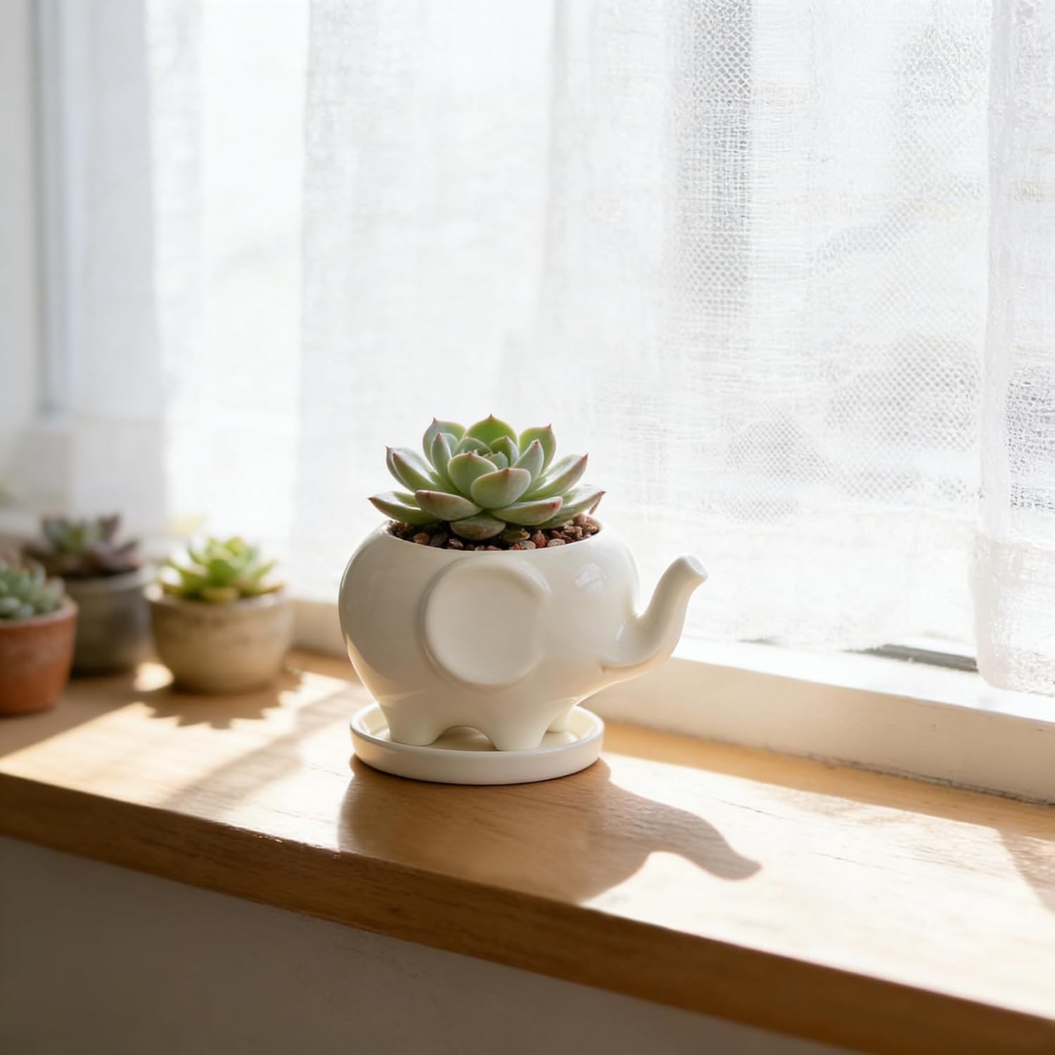 GeLive White Cow Succulent Pot, Small Ceramic Animal Planter with Drainage Hole & Saucer for Cactus, Mini Air Plants, Pencil Holder Brush Organizer, Indoor Home Office Desk Decor, Funny Gift