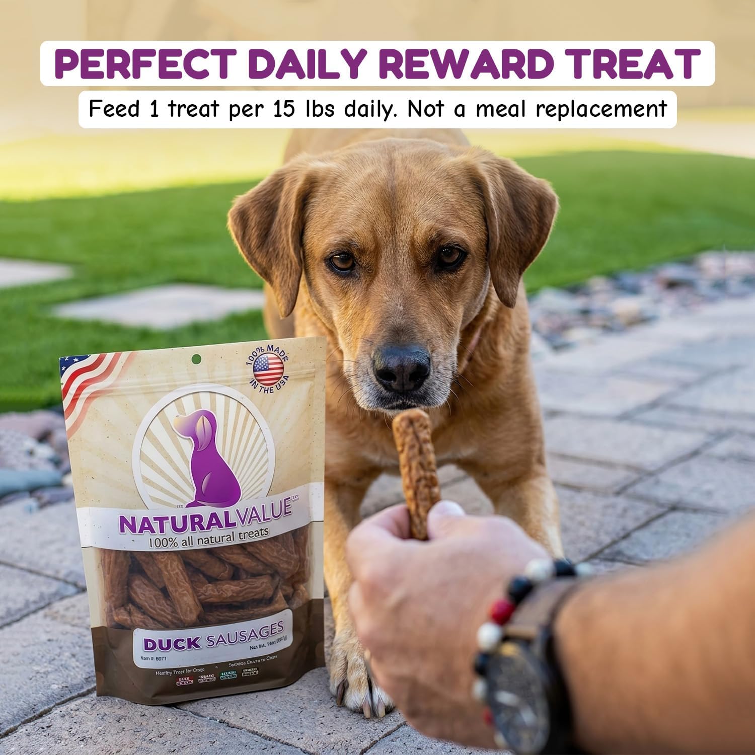 Loving Pets Natural Value Beef Sticks - Soft Jerky Dog Treats for Large & Small Breeds - Healthy Gluten, Wheat, Soy & Grain Free Pet Treats for Dogs
