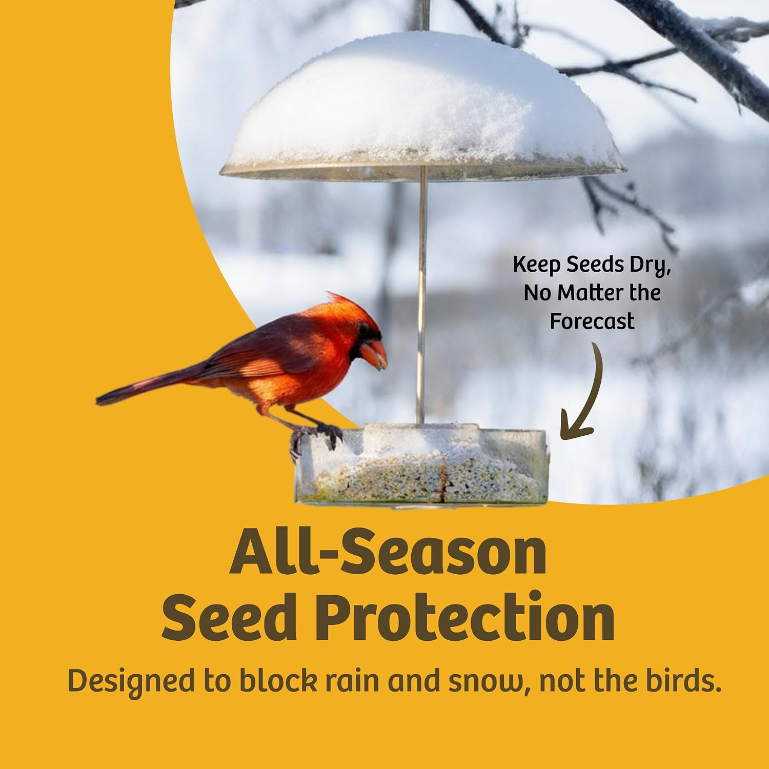 Birds Choice Red Bird Feeder Dome | 10.5" Rain Guard Cover for Hanging Bird Feeders | Outdoor Weather Guard to Help Keep Seed Dry | Domed Acrylic Outdoor Weather Guard for Hanging Feeders to Keep Seed Dry, Heavy-Duty Chrome-Plated Hanger and Hook