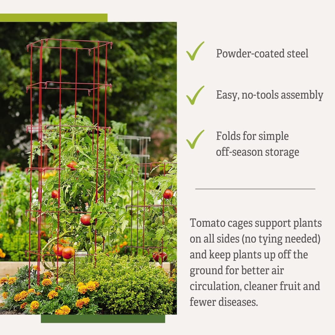 Gardener's Supply Company Lifetime Tomato Cages, Green, Set of 4