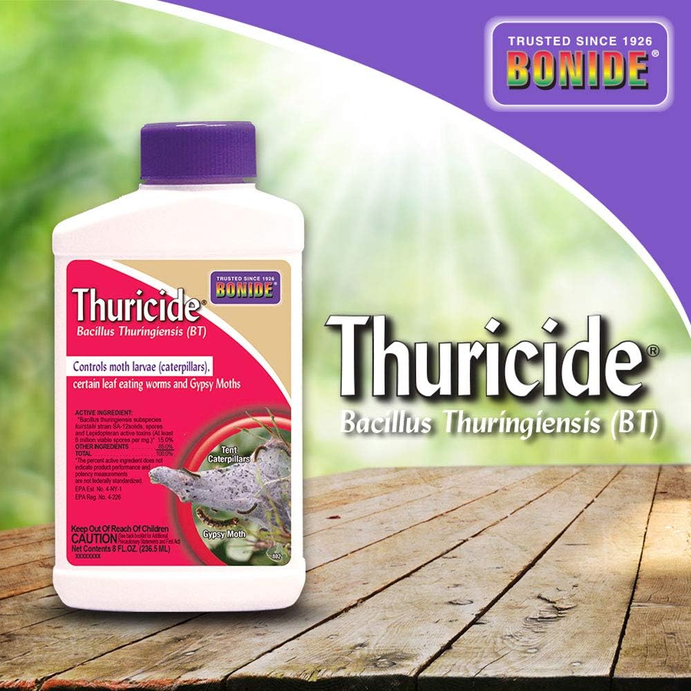 Bonide Thuricide BT Concentrate, 8 oz Ready-to-Mix Solution for Caterpillar, Moth and Worm Control in Lawn and Garden