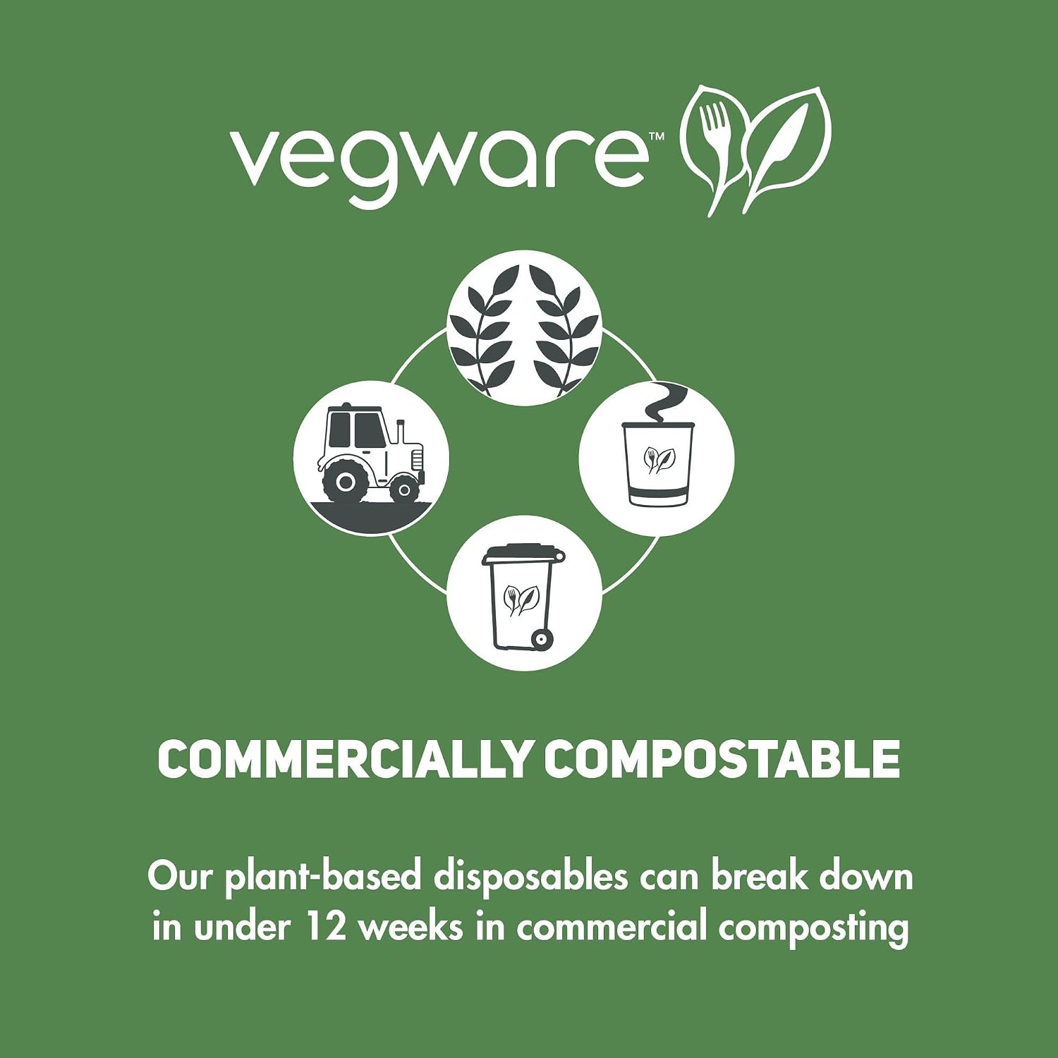 Vegware Compostable 32oz Hinged Clear Deli Containers, Case of 200, PLA Plastic Meal Prep, To Go Box With Lid, Made from PLA, A Renewable Material Made from Plants, Tight Seal for Freshness