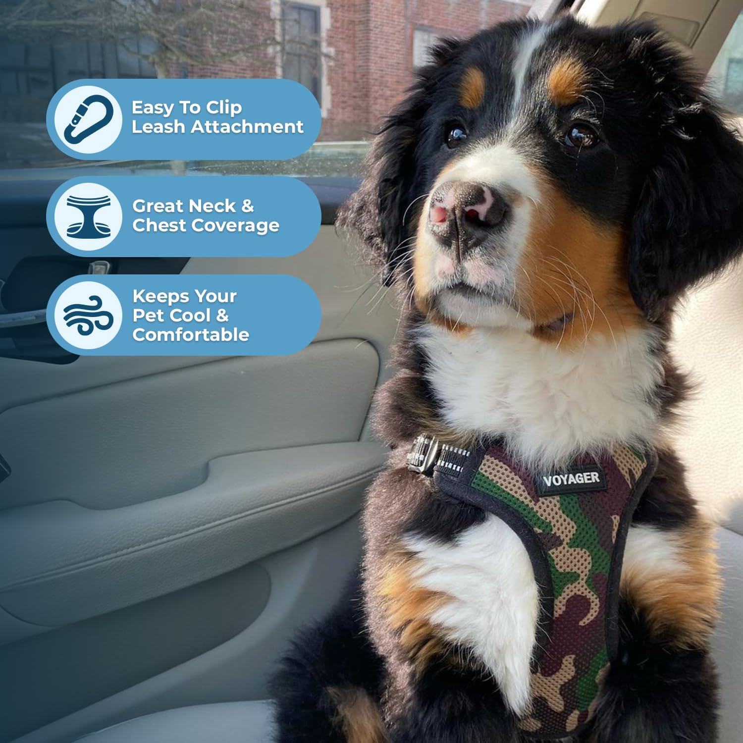 Voyager Step-in Flex Adjustable Dog Harness - Black, Medium | 17 - 21" in Chest, Fully Adjustable, Reflective Bands, All Weather Breathable Air Mesh, Lightweight, Fast Drying