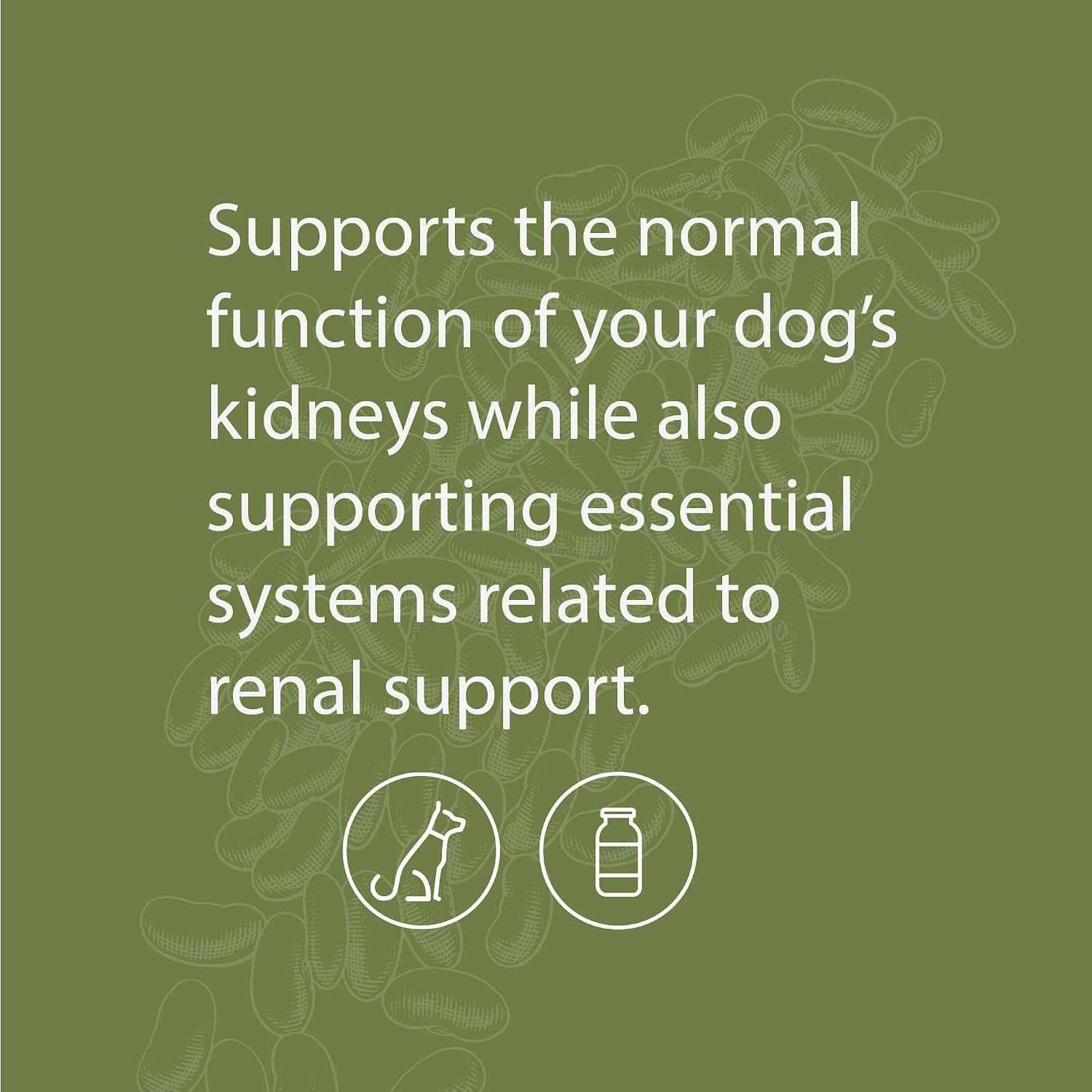 Standard Process Canine Renal Support - Dog Supplement for Kidney