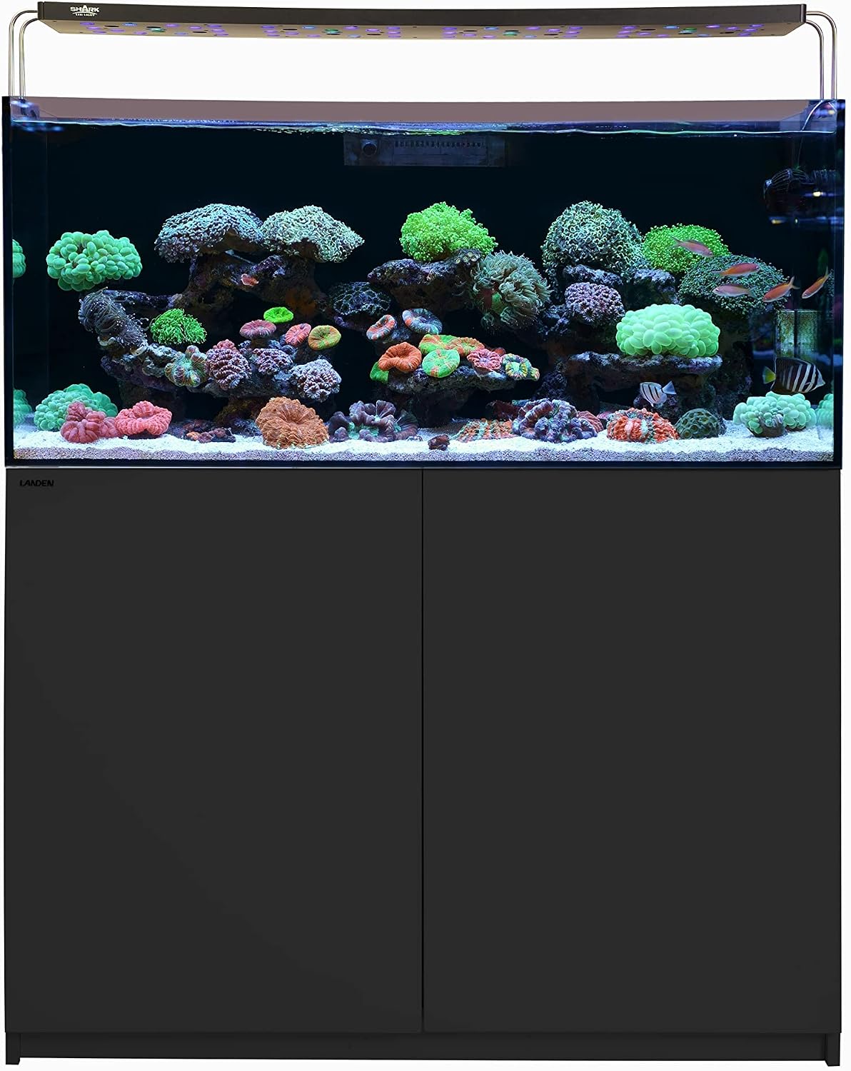 LANDEN Wooden Aquarium Stand & Cabinet, 20 Gallon Fish Tank, 17.7x17.7in