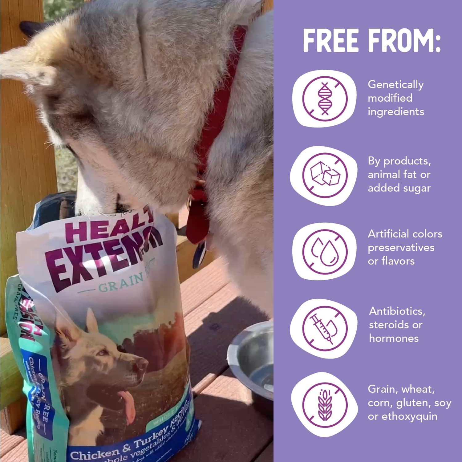 Health Extension Grain Free Venison & Sweet Potato Dry Dog Food - 30+ Superfoods and Probiotics for All Life Stages (10 lb)