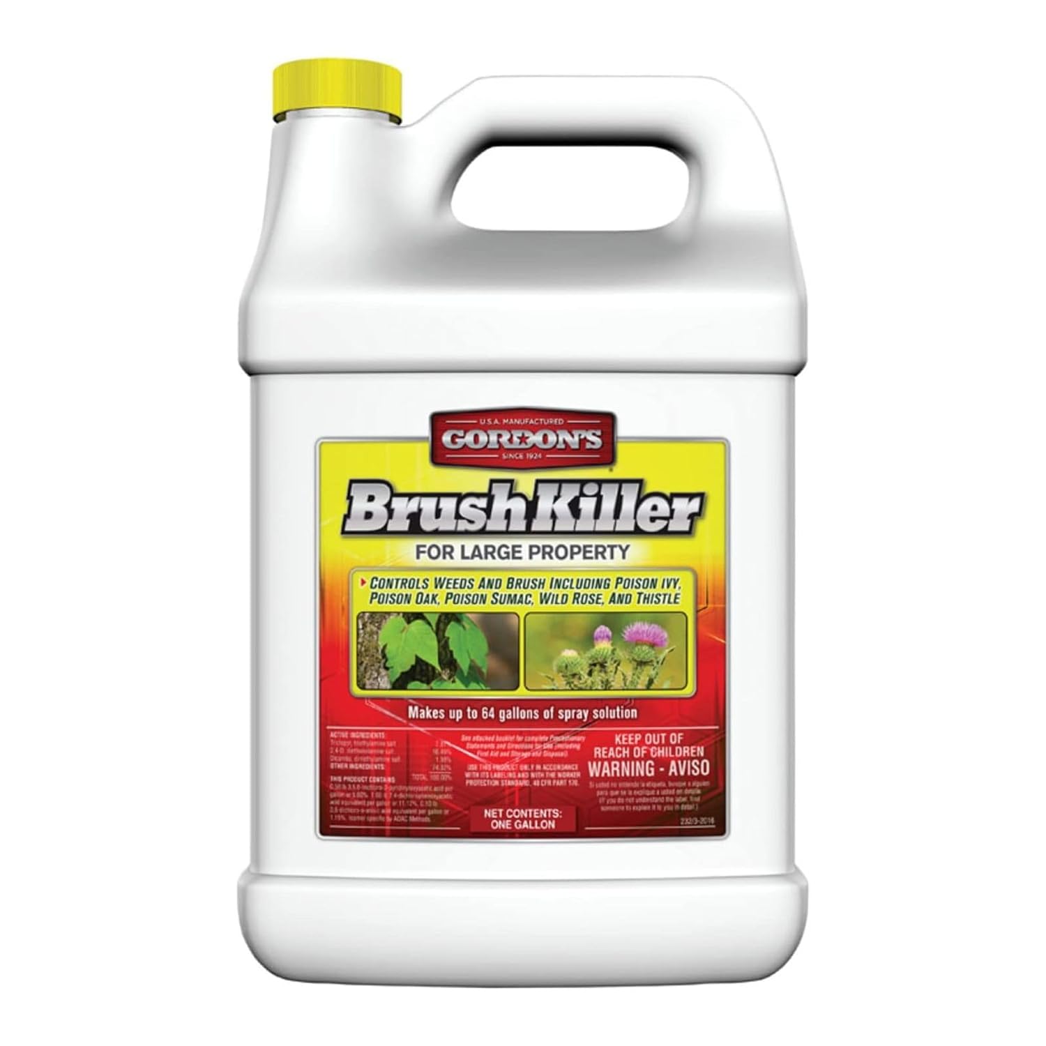 GORDON'S Brush Killer for Large Property