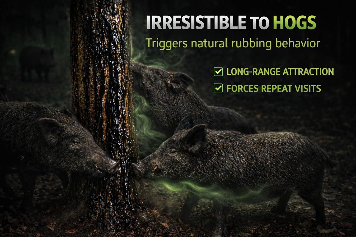 Pig Oil - Wild Hog Attractant - Long Lasting Hog Hunting Lure for attracting and harvesting Feral Hogs Around Your Feeder or Stand