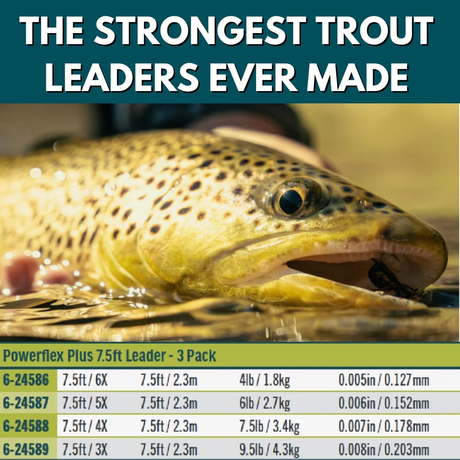 RIO PRODUCTS Trout Powerflex Plus Leader, Pre-Tied Loop for Easy Rigging, High Performance Tapered Leader Line