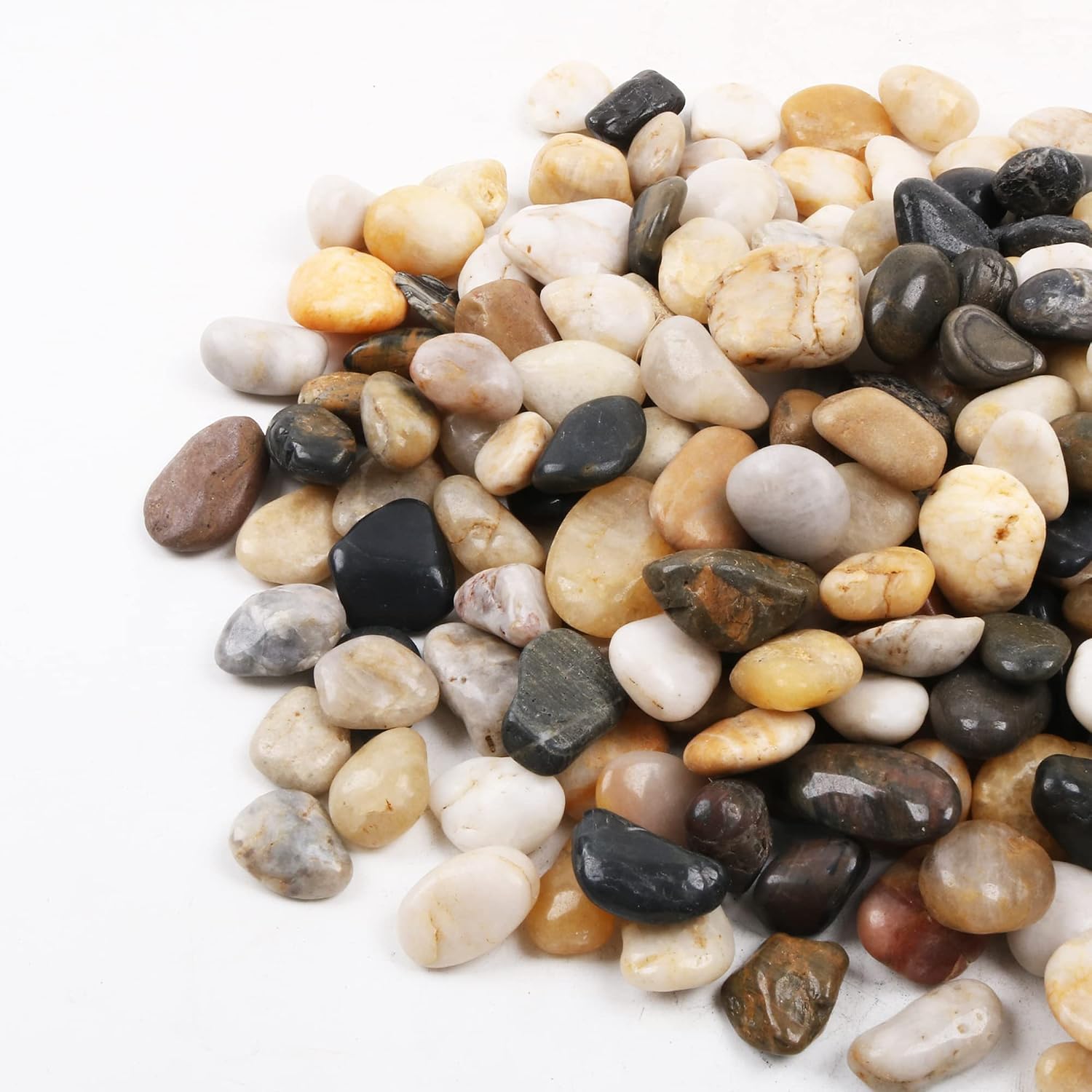 Pebbles for Plants 3 lb Natural Garden Decorative Stone Outdoor Aquariums Gravel 1-1.5 Inches
