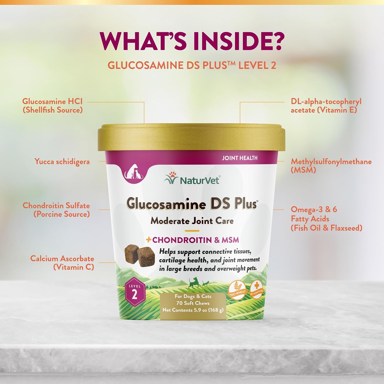 NaturVet – Glucosamine DS Plus - Level 2 Moderate Care – Supports Healthy Hip & Joint Function – Enhanced with Glucosamine, MSM & Chondroitin – for Dogs & Cats–70 Soft Chews