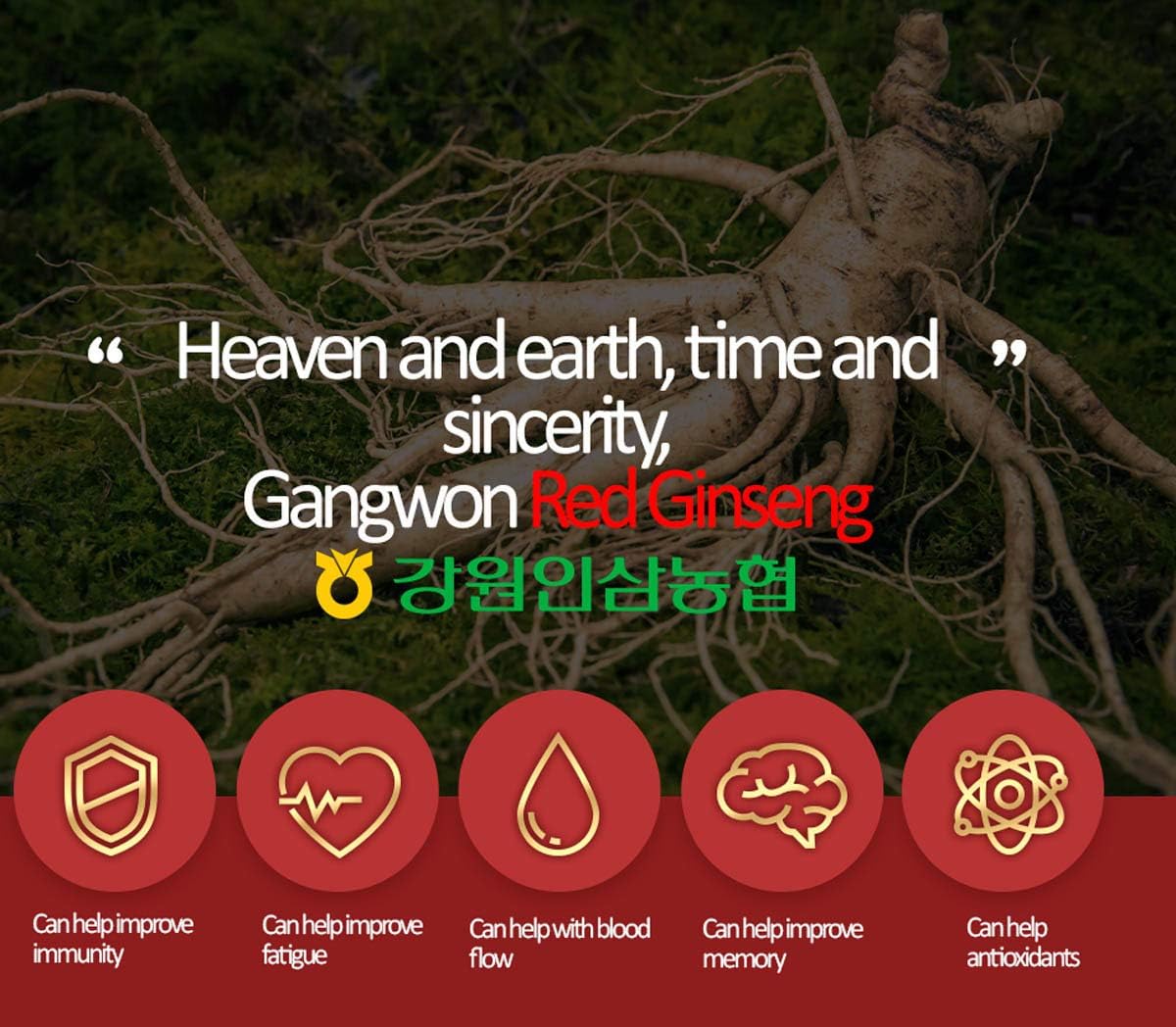 Gangwoninsam] 6 Year Korean Red Ginseng Tea (3g x 50 Packets) – Contains 6 Year Korean Red Ginseng Extract, Korean Tea, Individually Packaged