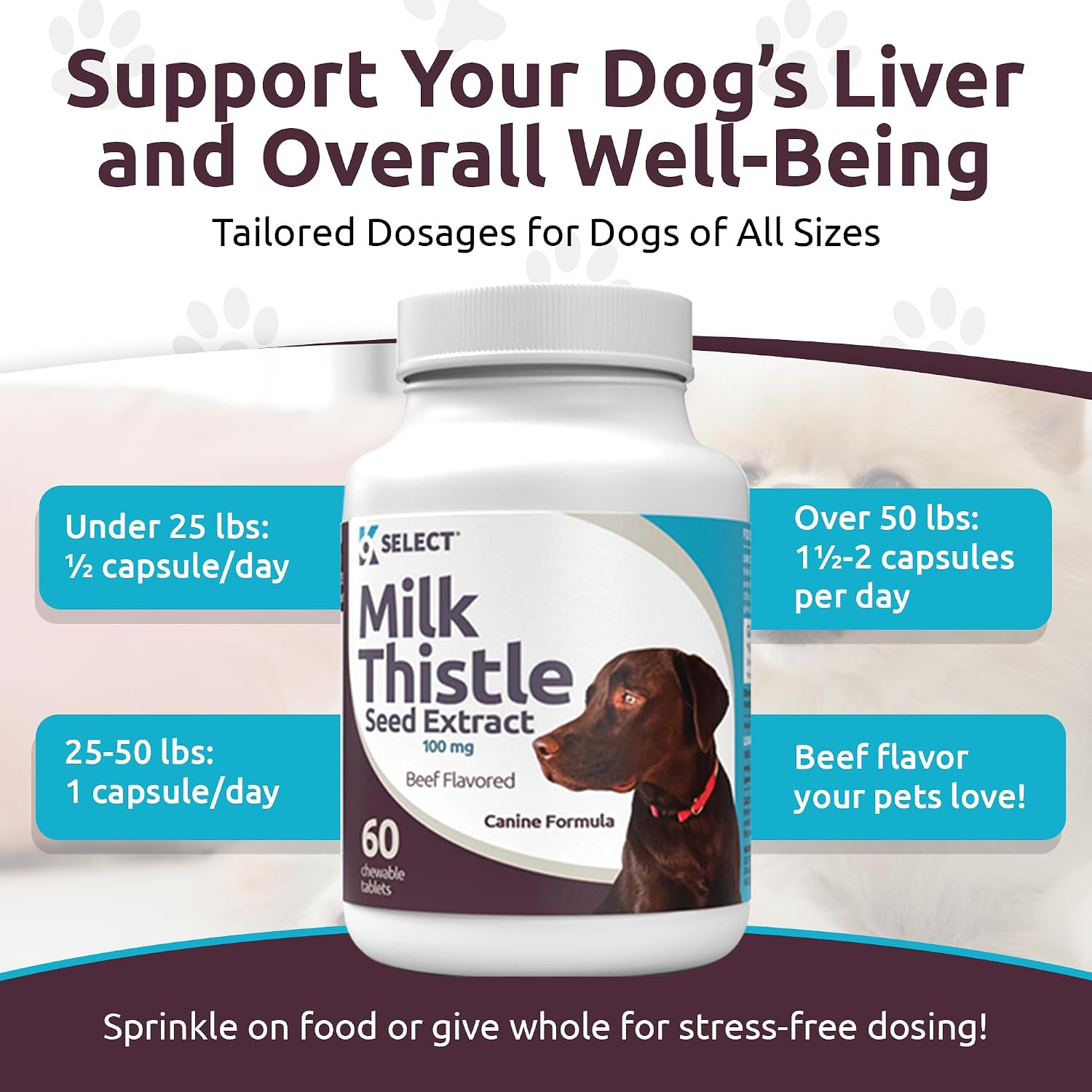 Milk Thistle for Dogs, 100mg - 60 Vegetable Capsules - Canine Liver Health Milk Thistle Supplement - Milk Herbal