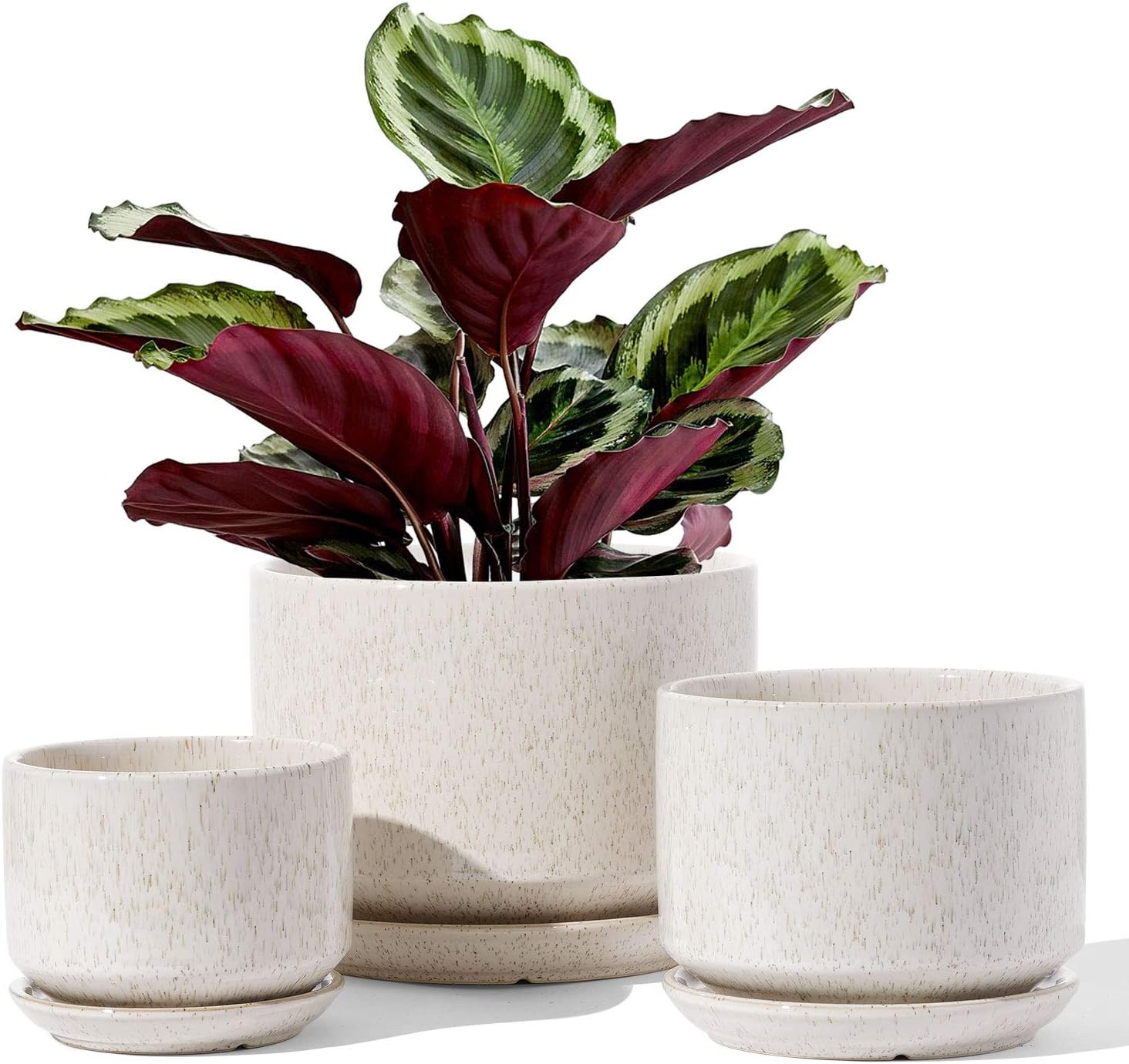 LE TAUCI Ceramic Plant Pots, 4.3+5.3+6.8 inch, Set of 3, Planters with Drainage Hole and Saucer, Indoor Flower Pot with Hole Mesh Pad, Gifts for Mom