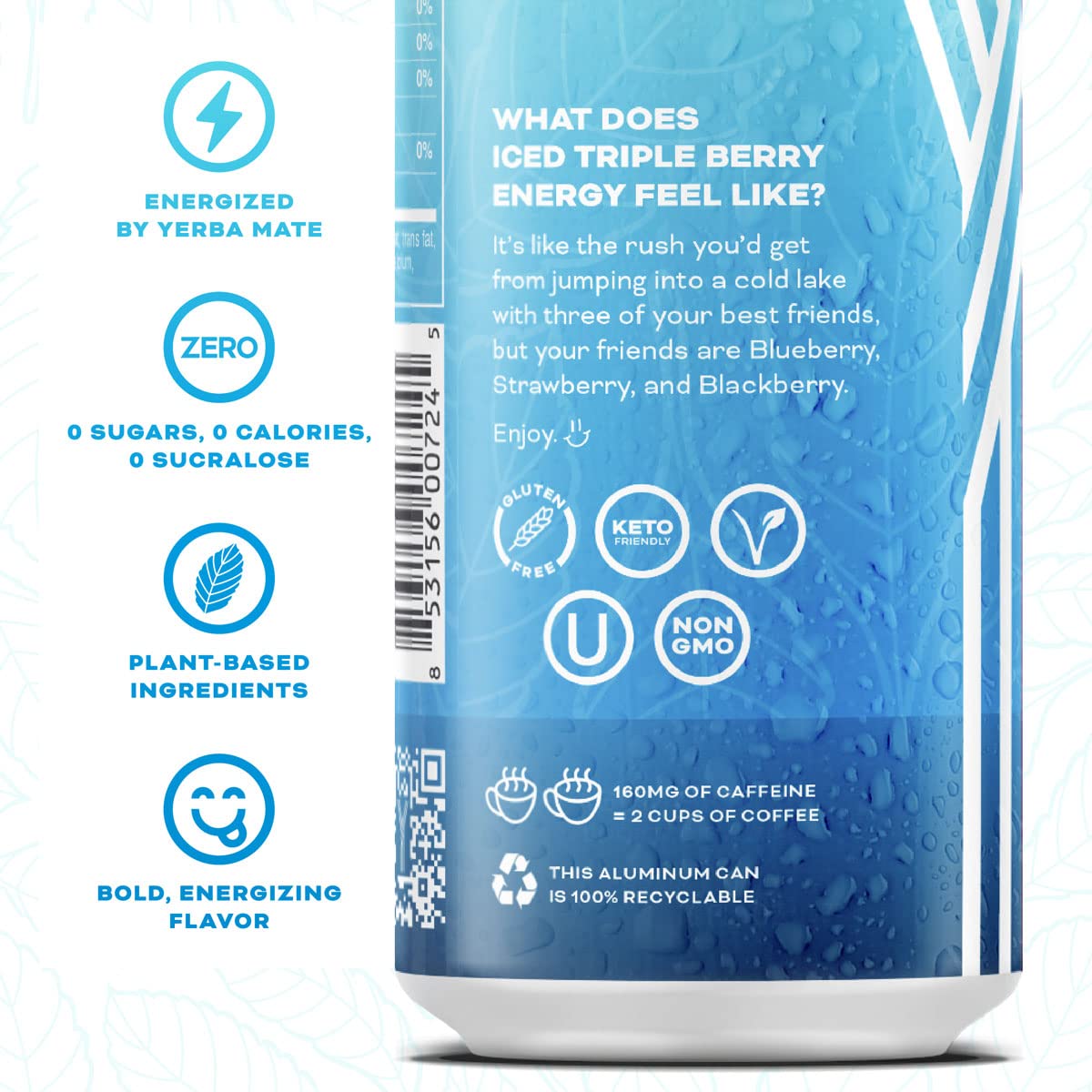 Yerbaé Energy Seltzer - Variety Performance Pack. No Sugar/Calories/Carbs. Energized by Yerba Mate Naturally Caffeinated Plant-Based, Healthy Alternative to Coffee/Sugary Sodas, Pack of 12, 12oz cans