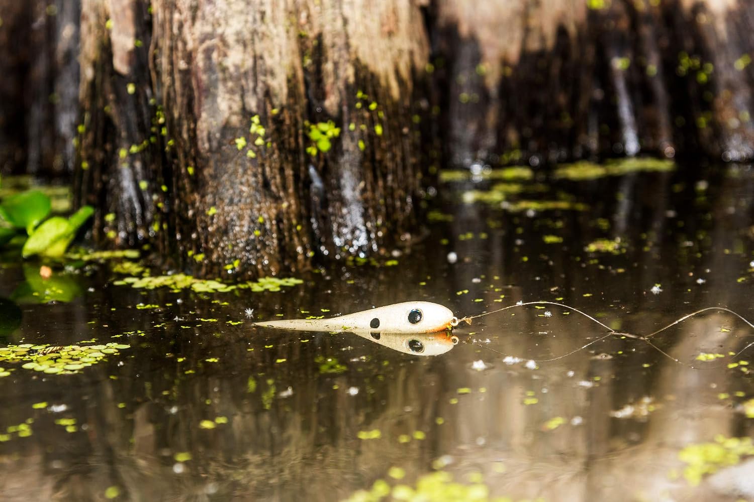 Heddon One Knocker Spook