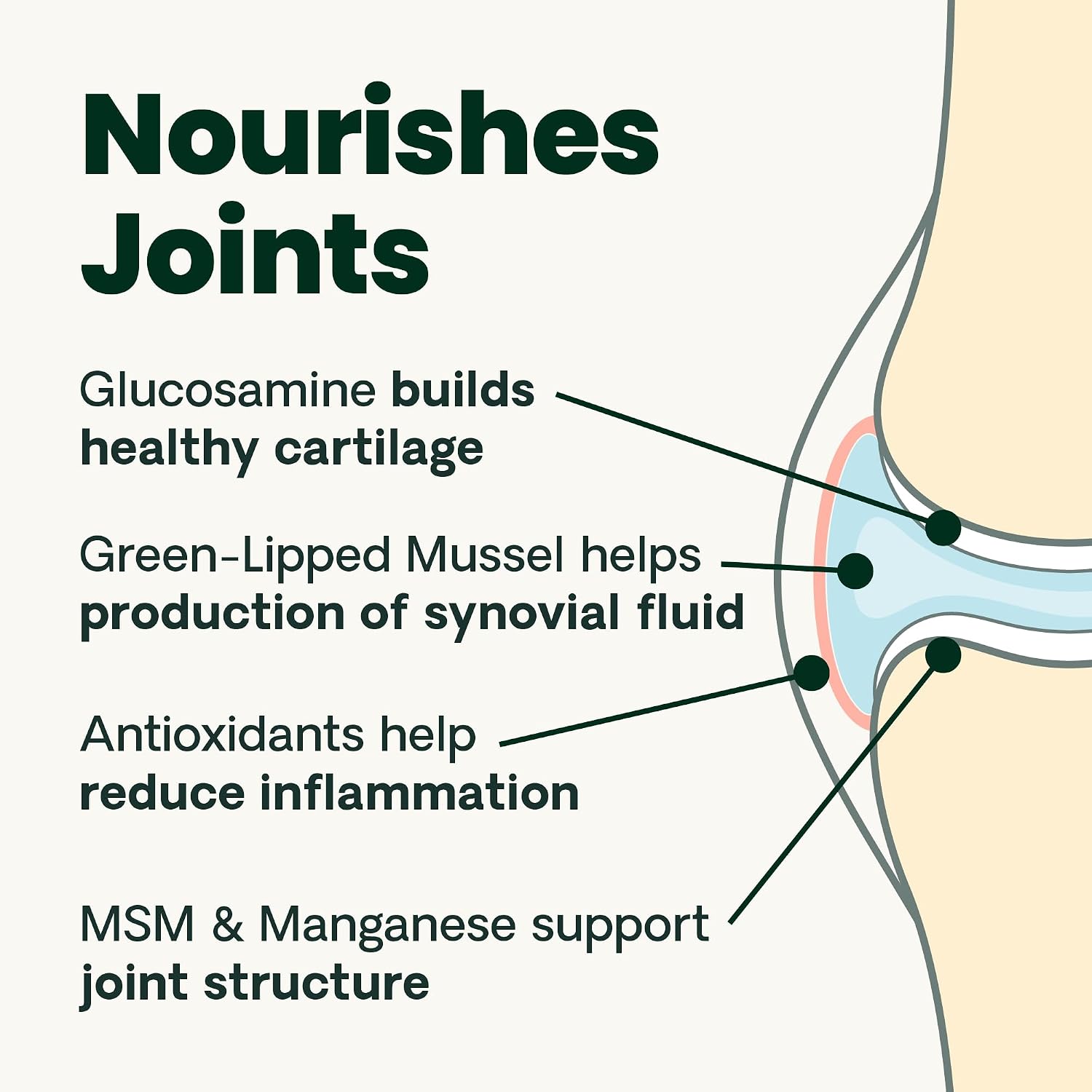 VetriScience Healthy Hip & Joint Chews, GlycoFlex Glucosamine and Green-Lipped Mussel Joint Support Supplement for Dogs, Promote Mobility and Protect Joints, Chicken, 120 Count