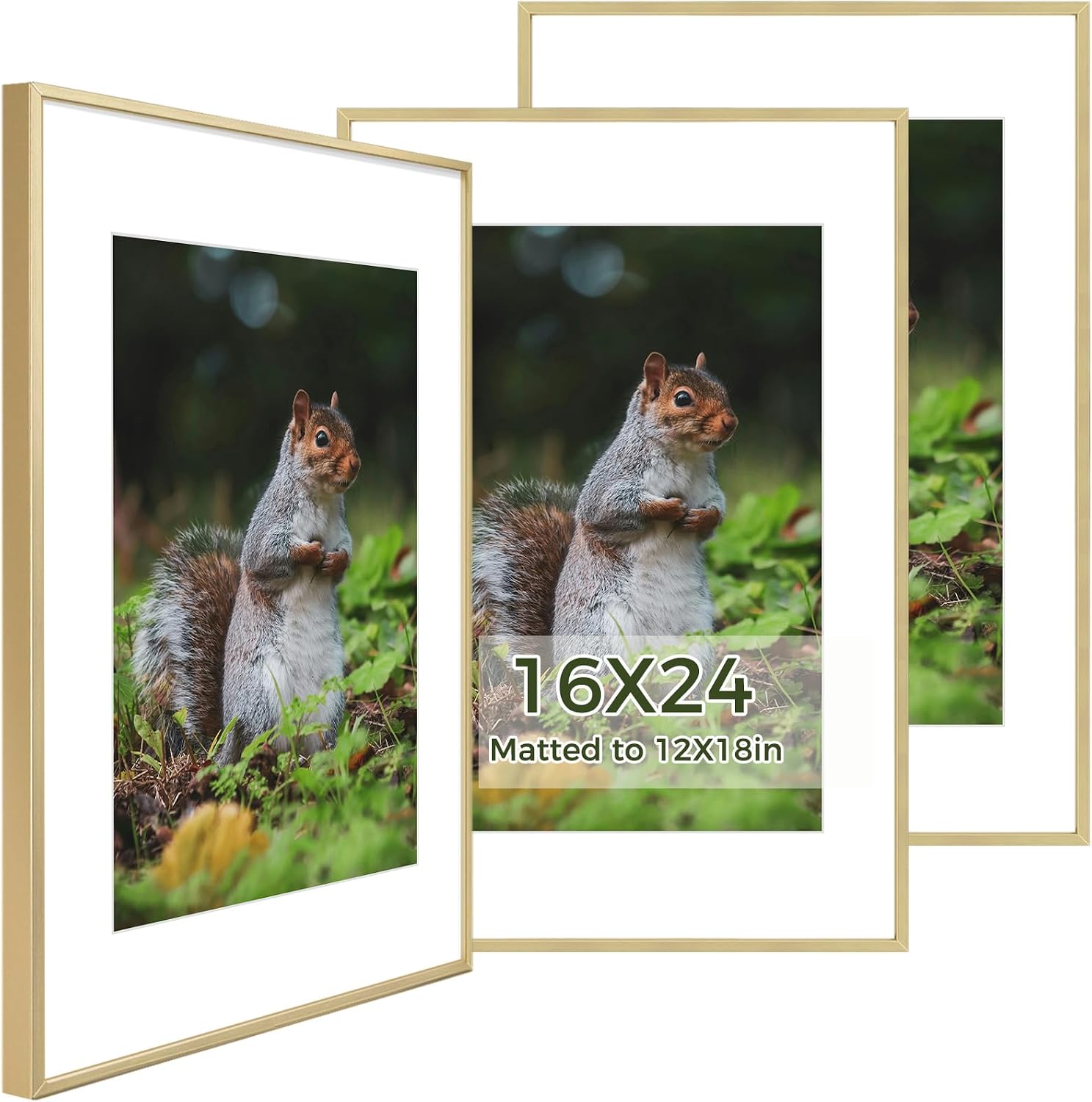 Golden State Art 3 Pack 12x12 Black Aluminum Frames, Real Glass Fronts