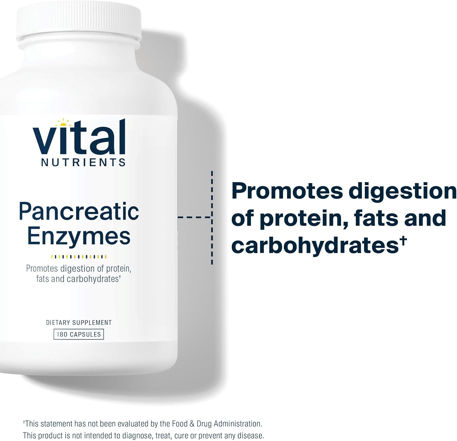 Vital Nutrients Pancreatic Enzymes 1000mg (Full Strength) - Pancreatin Digestion Supplement with Protease, Amylase & Lipase - Digestive Enzymes - Gluten, Dairy, and Soy Free - 90 Capsules