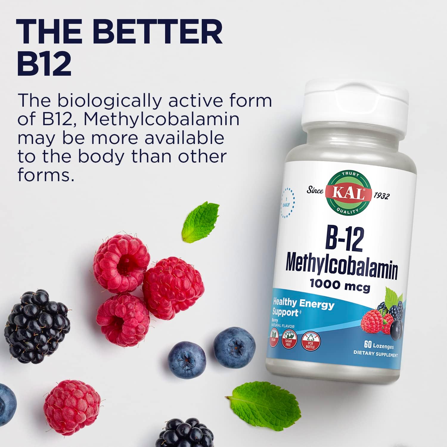 KAL Vitamin B-6 B-12 Folic Acid DropIns, Liquid Vitamin B Supplement Drops, Heart Health, Energy, Red Blood Cell Support with Methyl B12 and Methyl Folate, Natural Mixed Berry Flavor, 59 Servings, 2oz | Cardiovascular, Energy & Nerve Support - Active P-5…