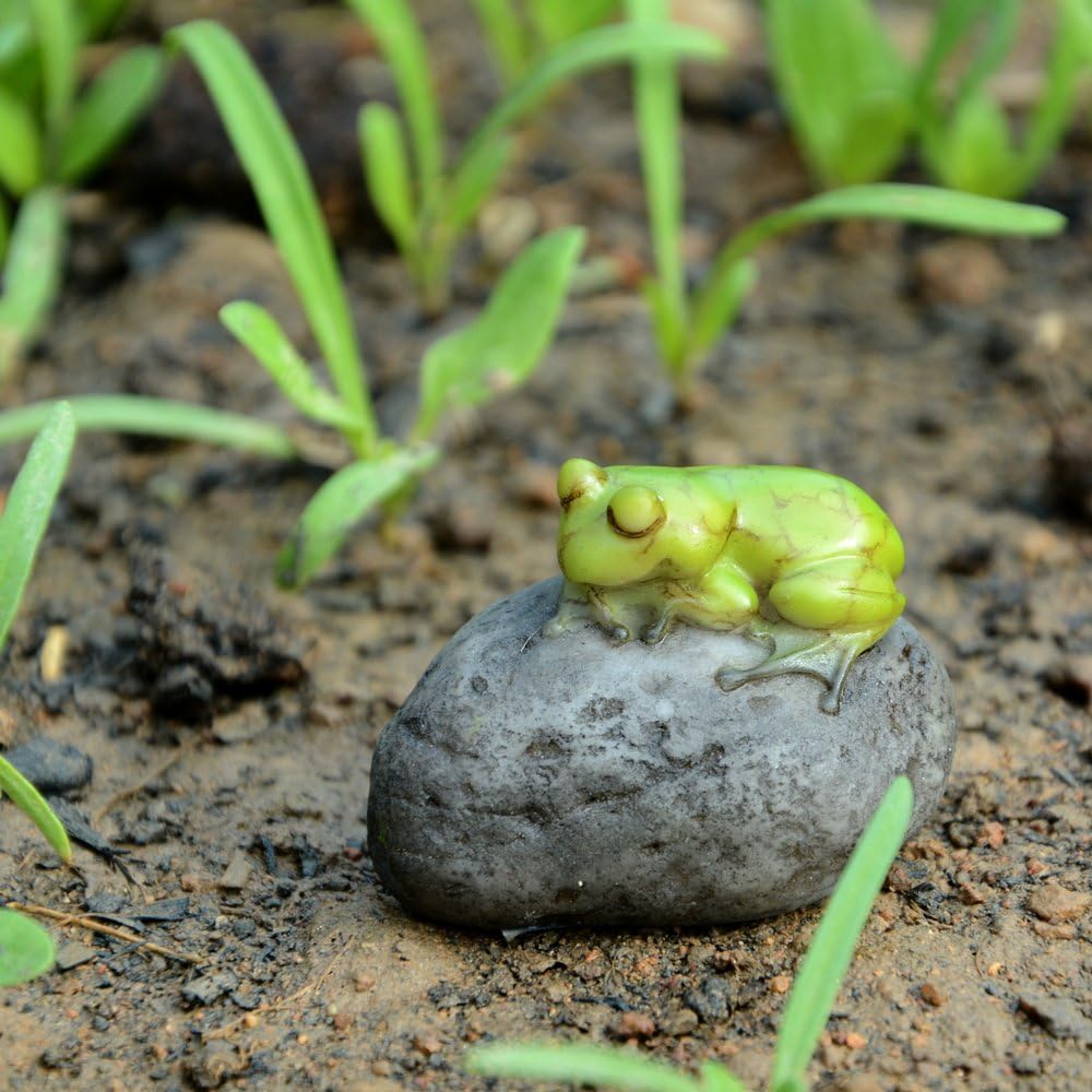 Top Collection Miniature Fairy Garden and Terrarium Statue, Mini Dragon, Green