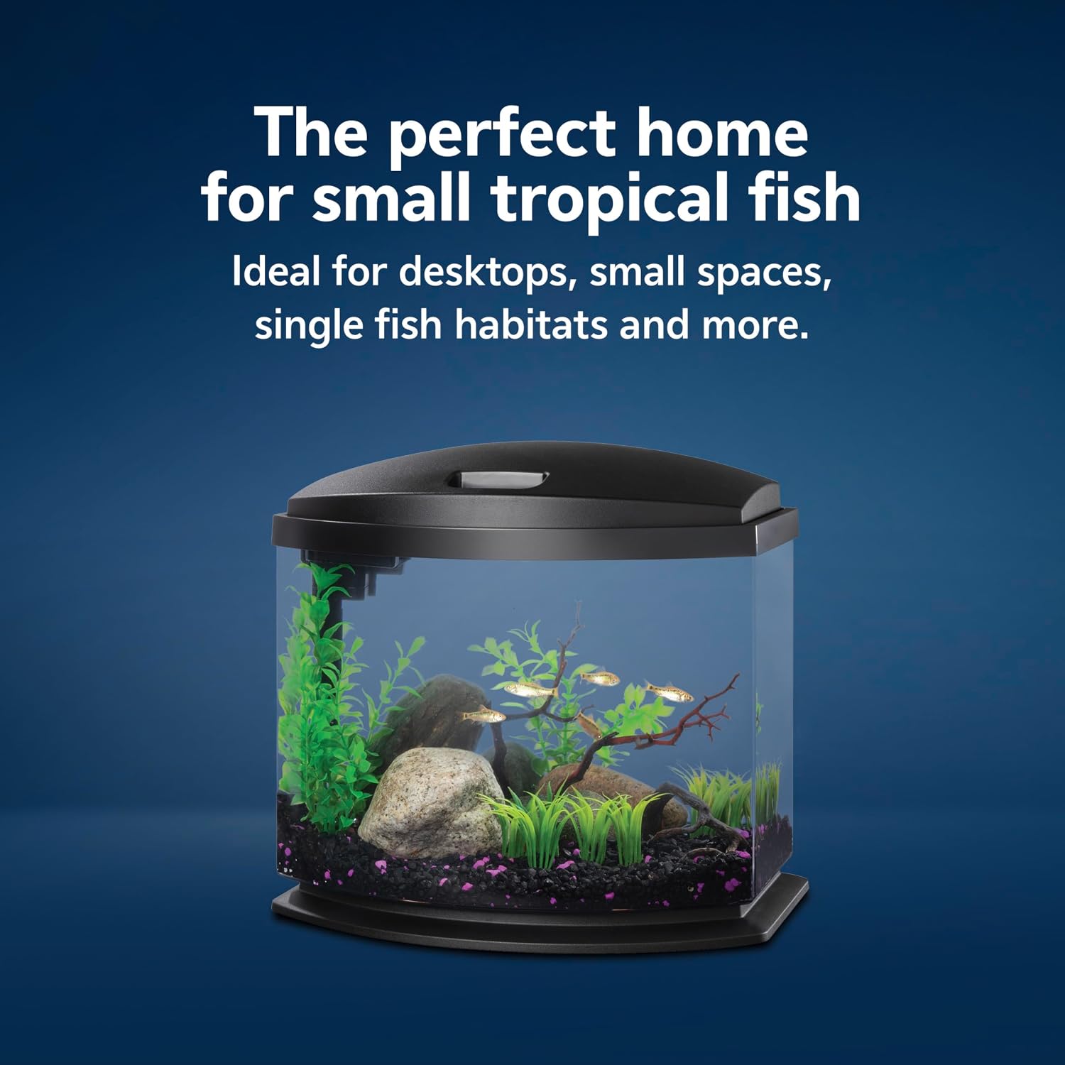 Aqueon LED MiniBow Small Aquarium Fish Tank Kit with SmartClean Technology, Blue, 1 Gallon