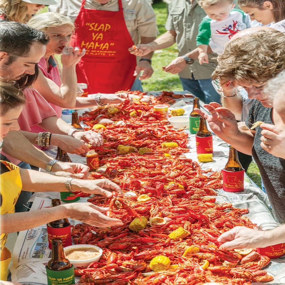 Slap Ya Mama Cajun Seafood Boil - 1lb Bag of Spicy Cajun Seasoning for Shrimp, Crab, Crawfish, Potatoes, Corn - Authentic Louisiana Flavor - NO MSG, Kosher, Gluten Free | one 1 lb bag of Cajun seafood boil seasoning for crawfish, shrimp, crab, corn, pota…