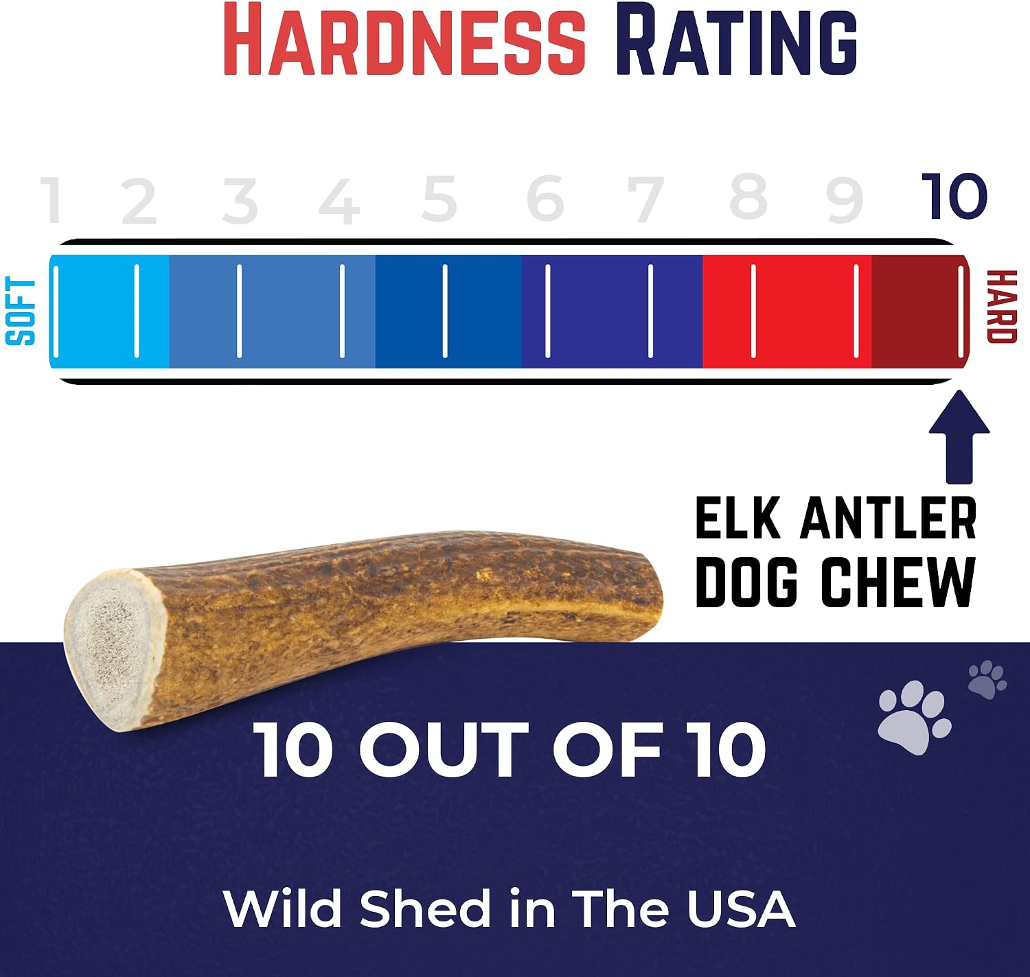 Devil Dog Pet Co Whole Elk Antlers for Dogs, Medium, Aggressive Chewers | Naturally shed Grade A Rocky Mountain elk antler, single ingredient, long lasting, 5 in+, fits breeds up to 50 lb